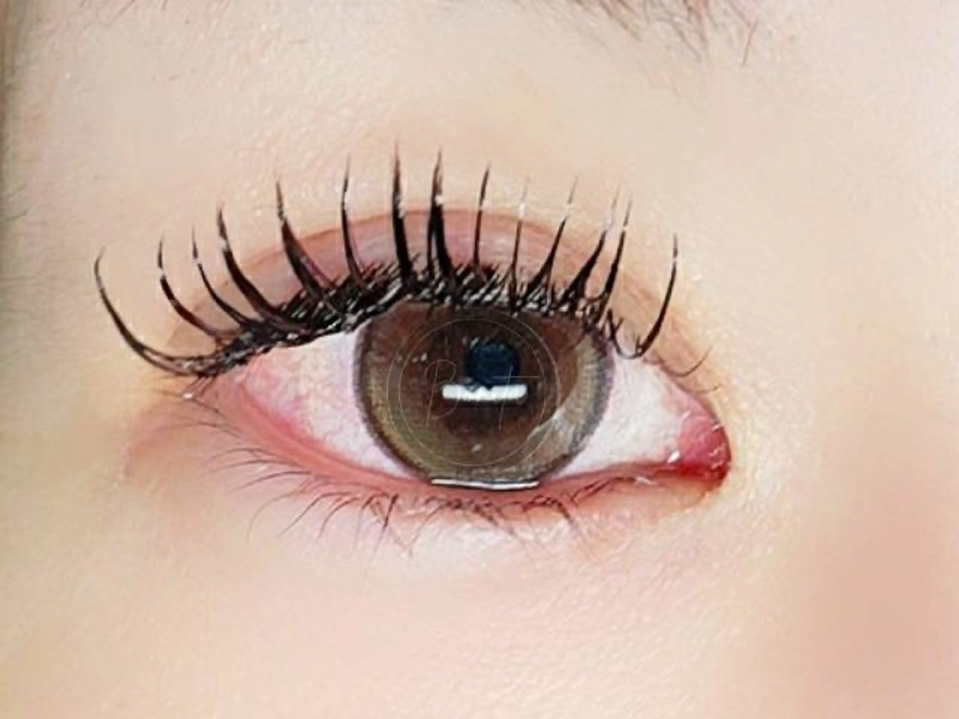 マツエク・マツパ 束感まつ毛 フラットラッシュ 山本 マツゲのマツエク・マツパデザイン