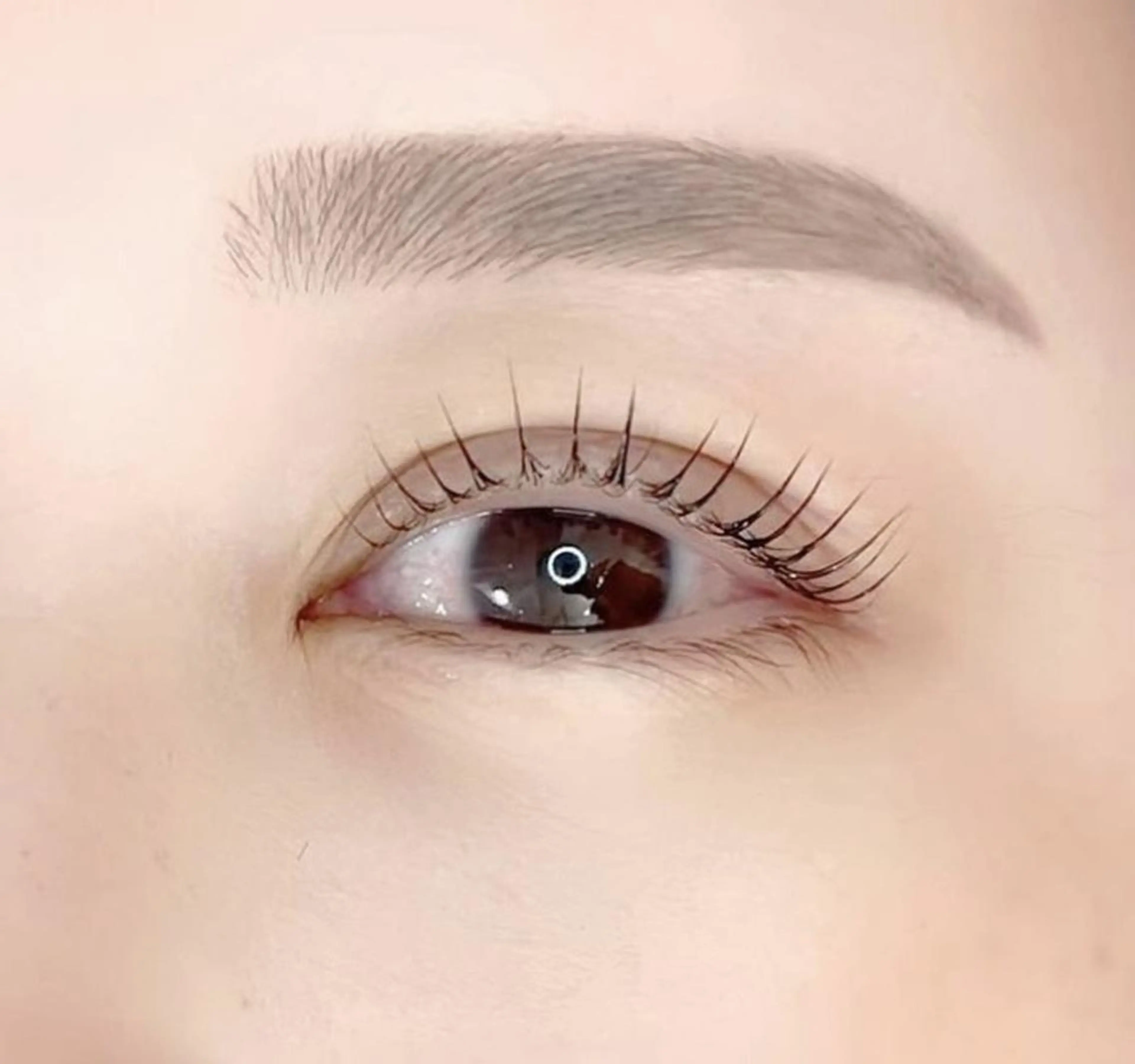 🤍上まつ毛パーマ orパリジェンヌ(コーティング付き)の写真