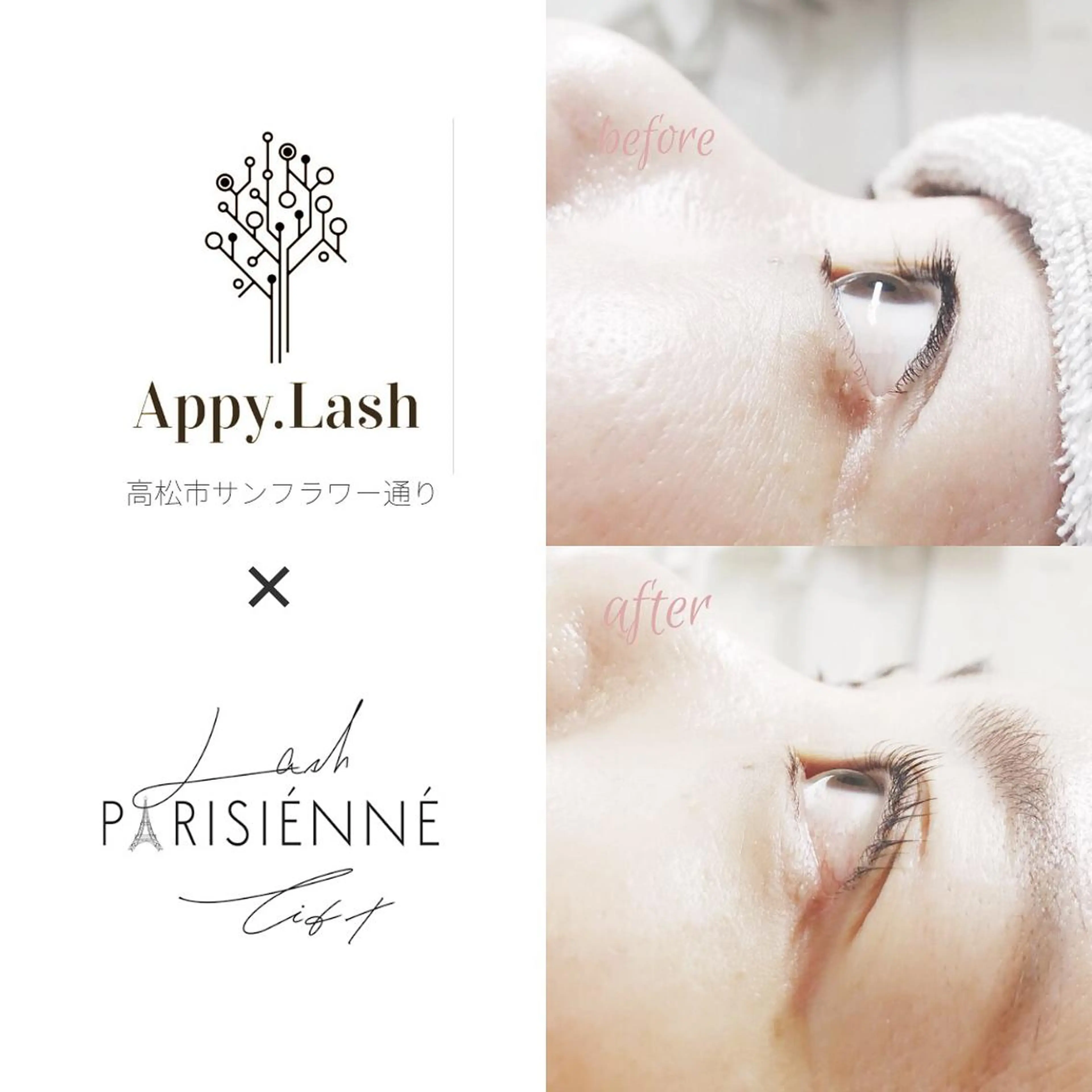 マツエク・マツパ フラットラッシュ ナチュラル パリジェンヌラッシュリフト まつげパーマ ボリュームラッシュ まつげと眉の専門店 Appy.Lashのマツエク・マツパデザイン