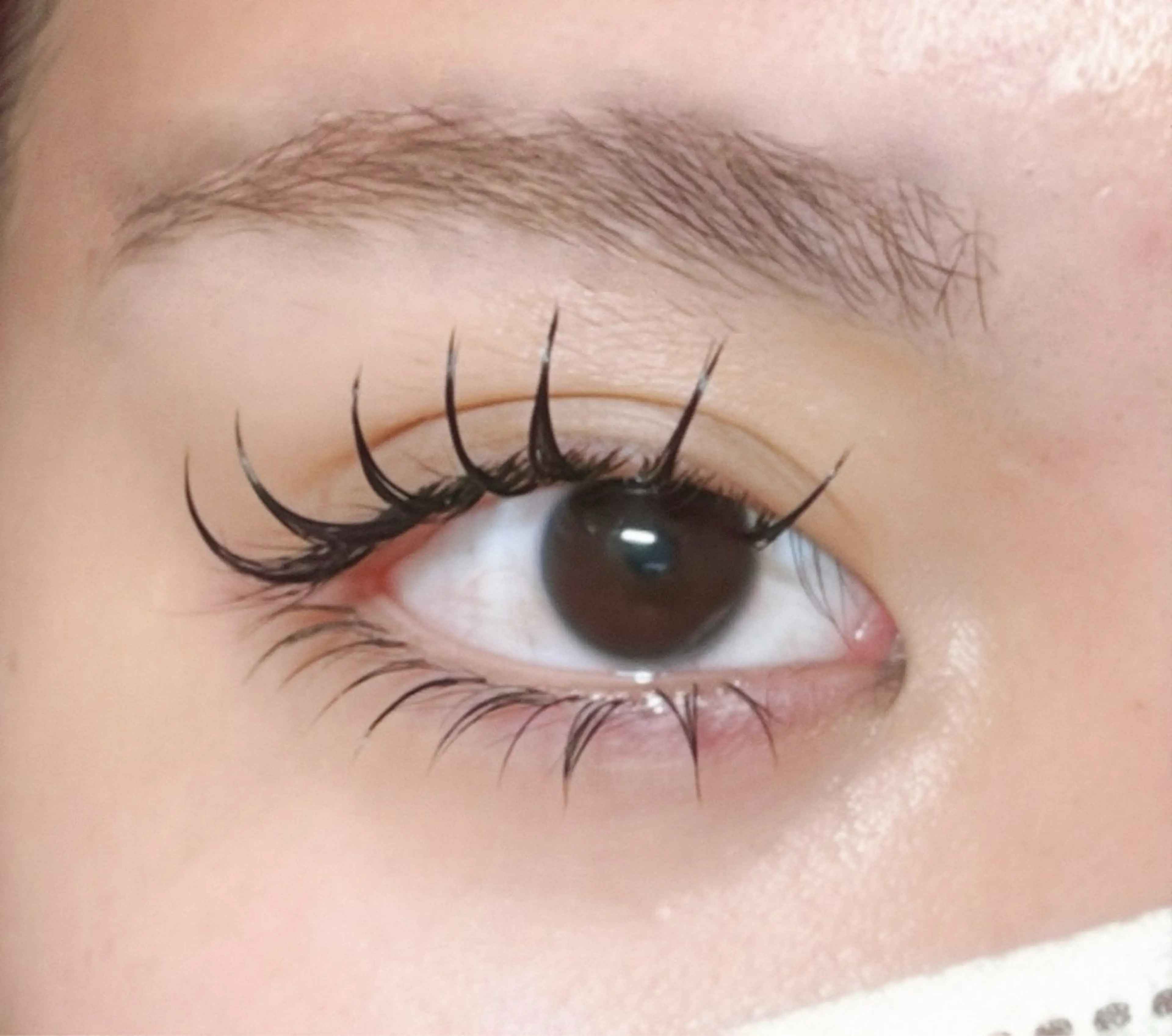 マツエク・マツパ マツエク Zina博多 An/ マツエク・パーマのマツエク・マツパデザイン