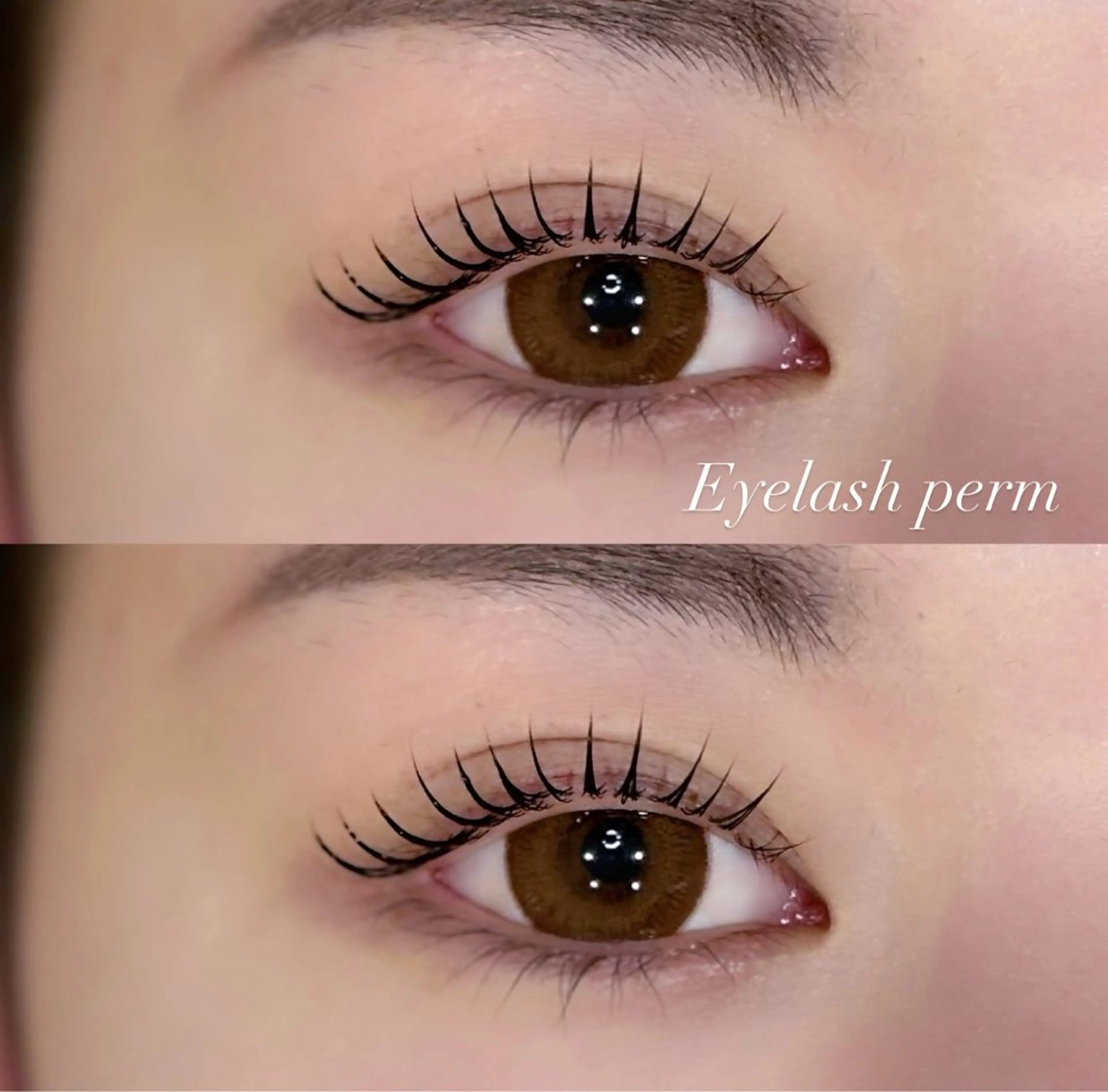 マツエク・マツパ マツパ prize iris ASUKAのマツエク・マツパデザイン