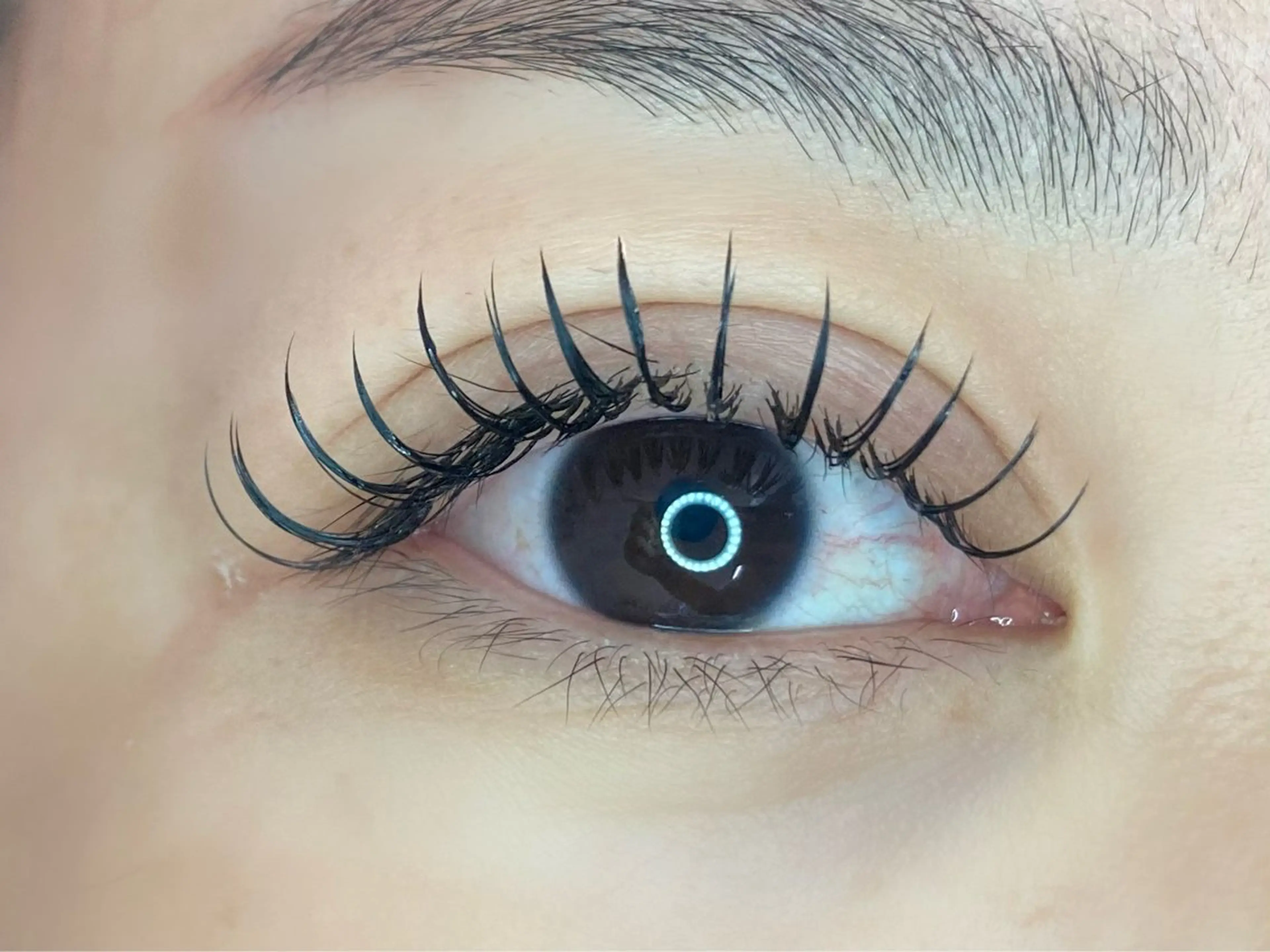 マツエク・マツパ マツエク Lupinus 長澤のマツエク・マツパデザイン