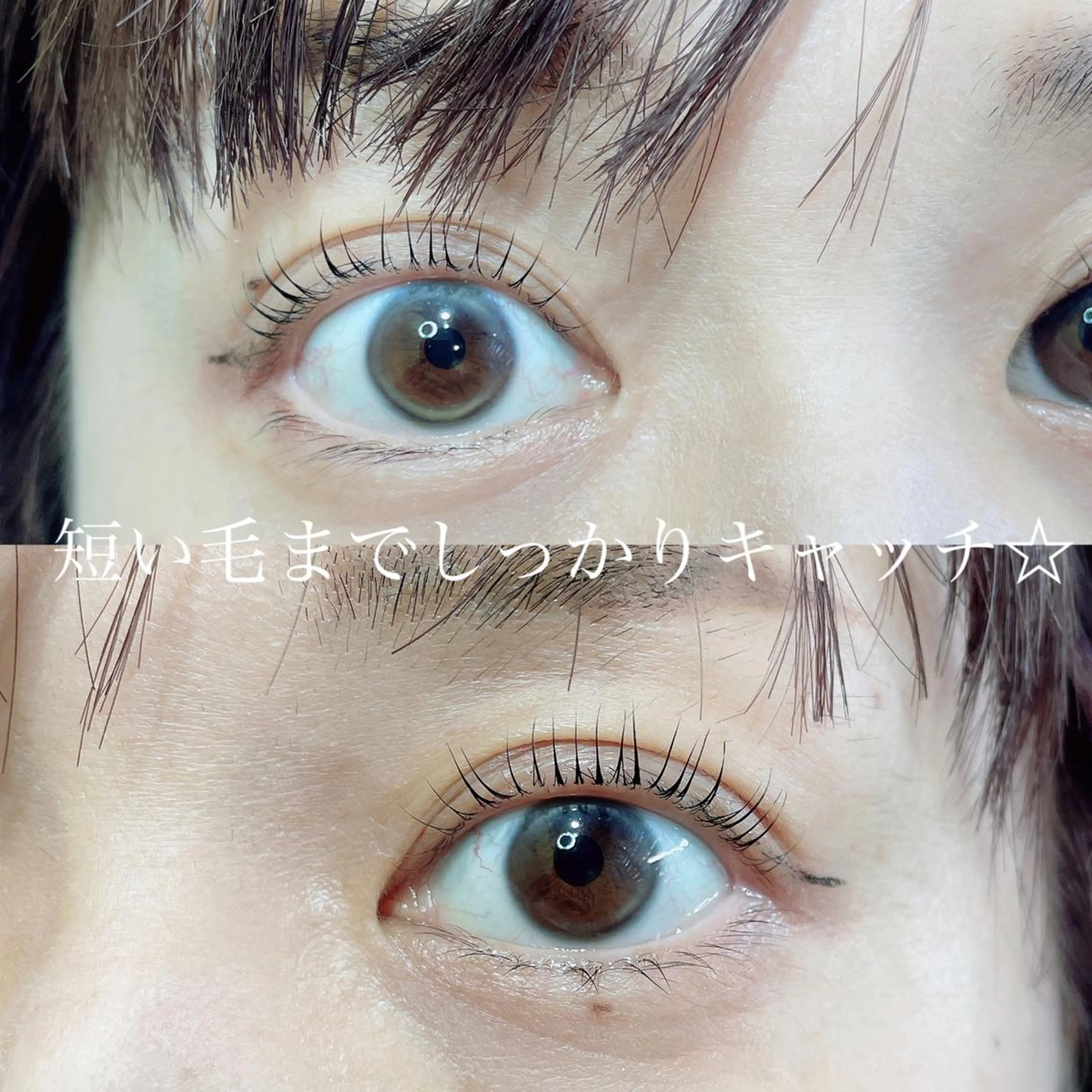 マツエク・マツパ まつげパーマ マツパ SEALA 高石の眉毛・アイブロウイメージ