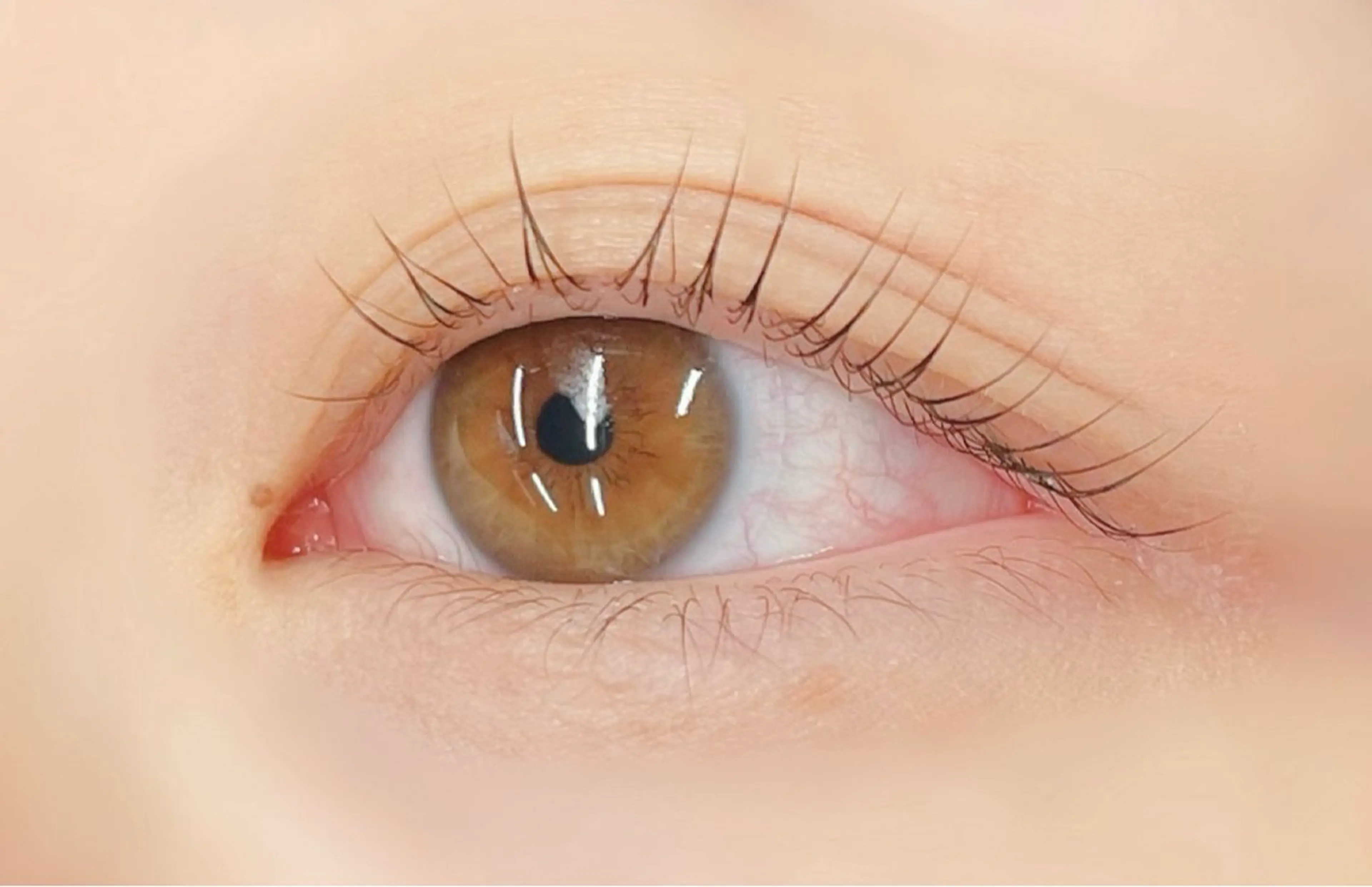 マツエク・マツパ 一重×まつ毛パーマ マツパ 🪼ひとみ🪼半個室 Amour菊川店のマツエク・マツパデザイン