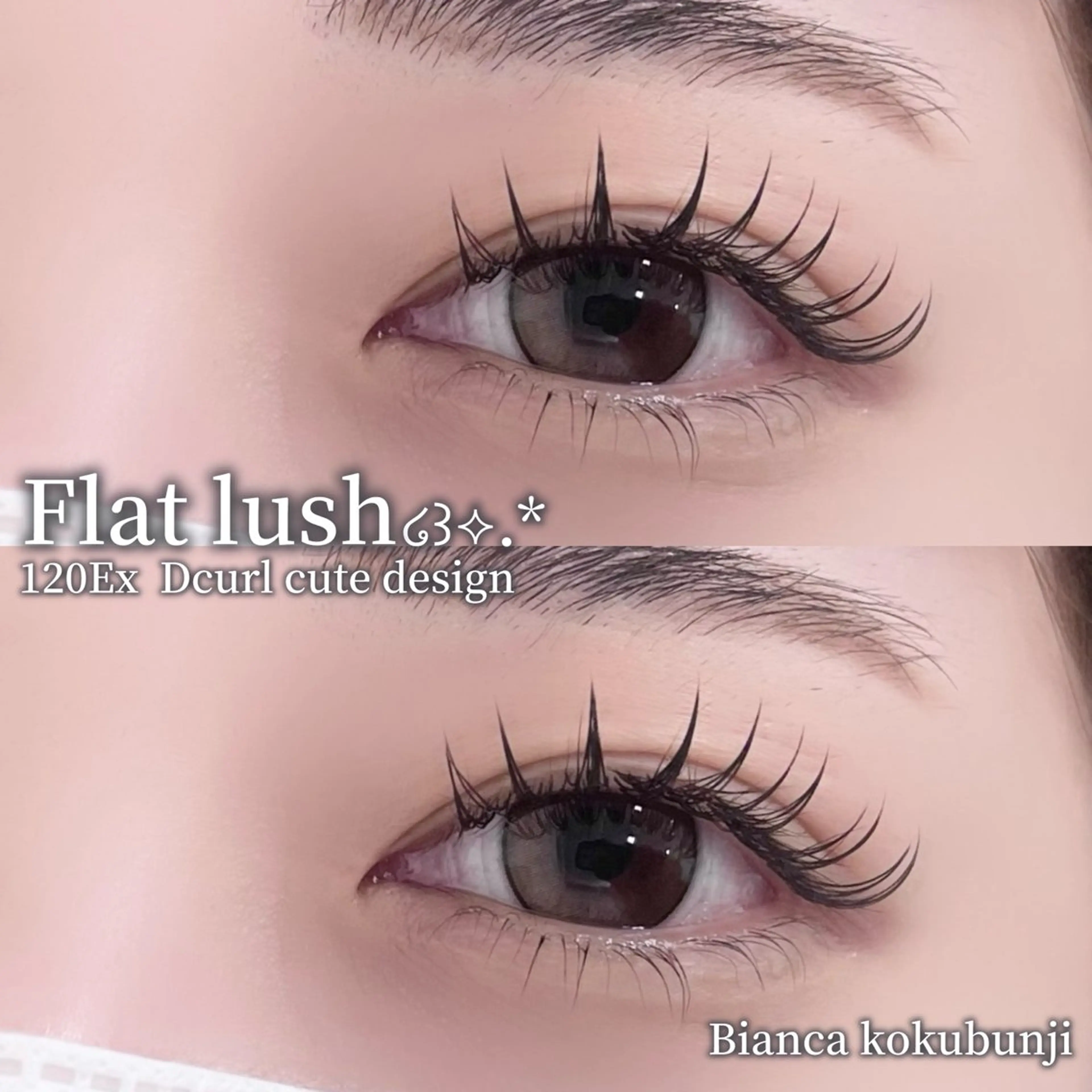 マツエク・マツパ フラットラッシュ 🩶Bianca 副店長ハシモト🩶のマツエク・マツパデザイン
