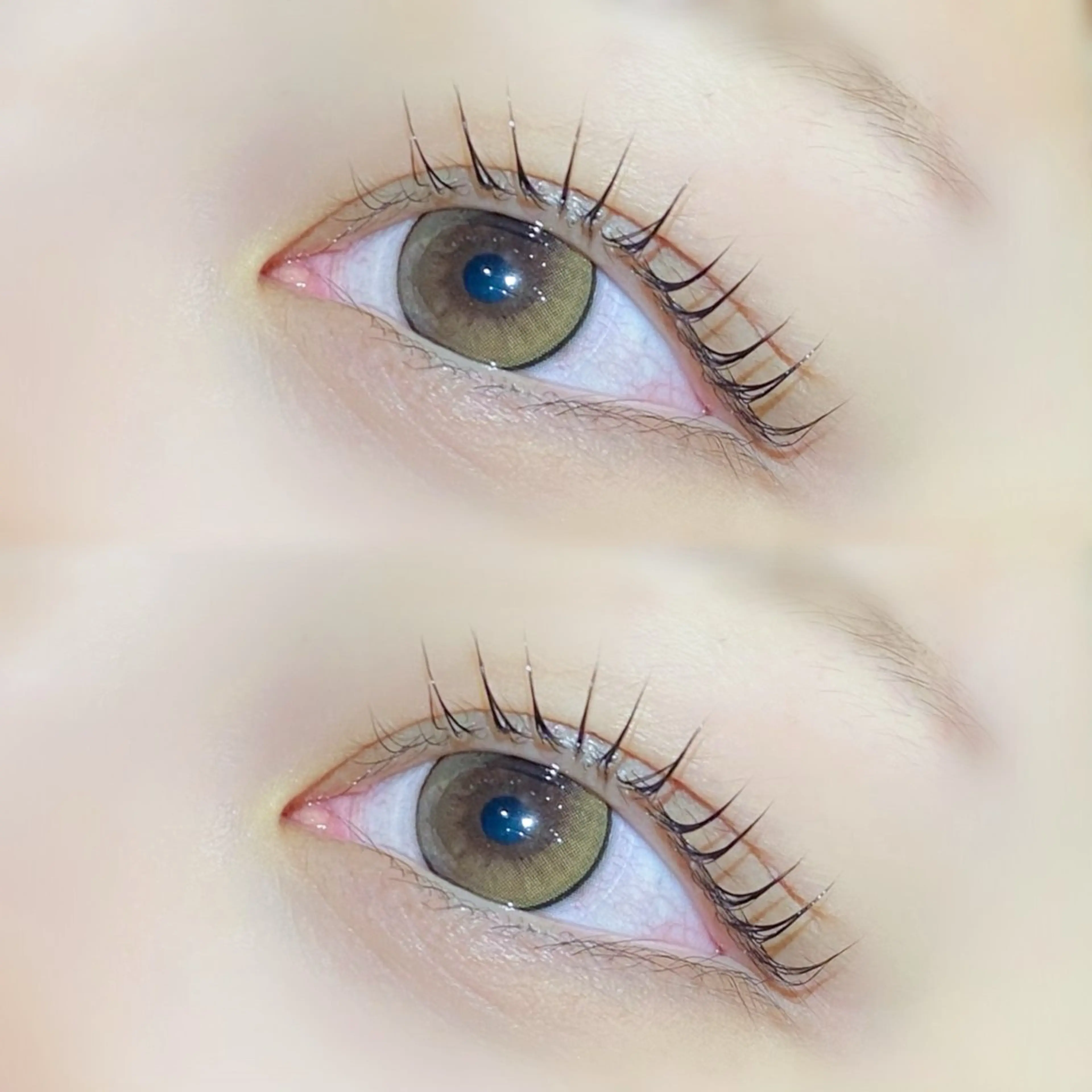 アイシャンプー付🫧まつ毛パーマ☘️美容液コーティング付💝の写真