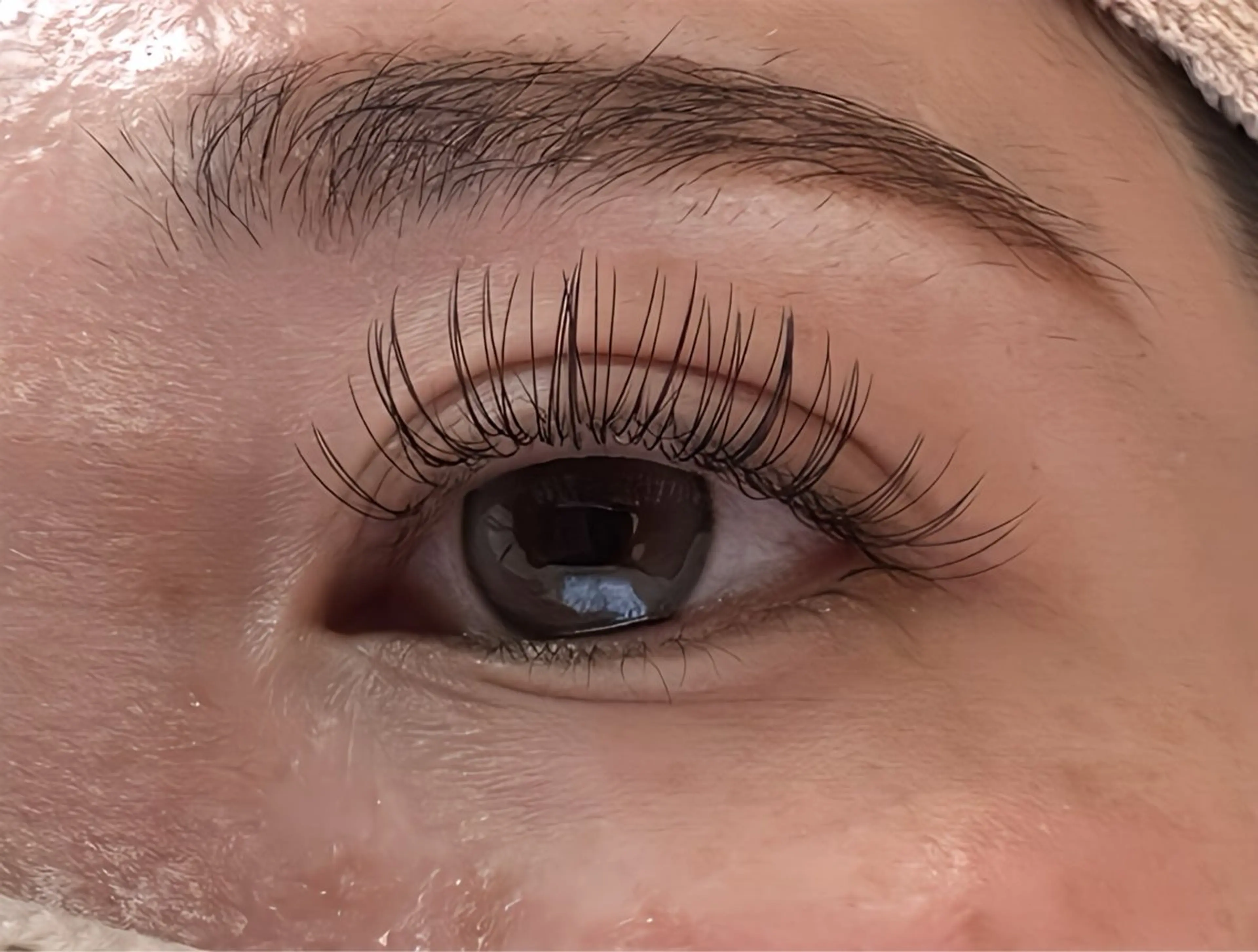 マツエク・マツパ マツエク Petila🐈‍⬛ Mayuriのマツエク・マツパデザイン