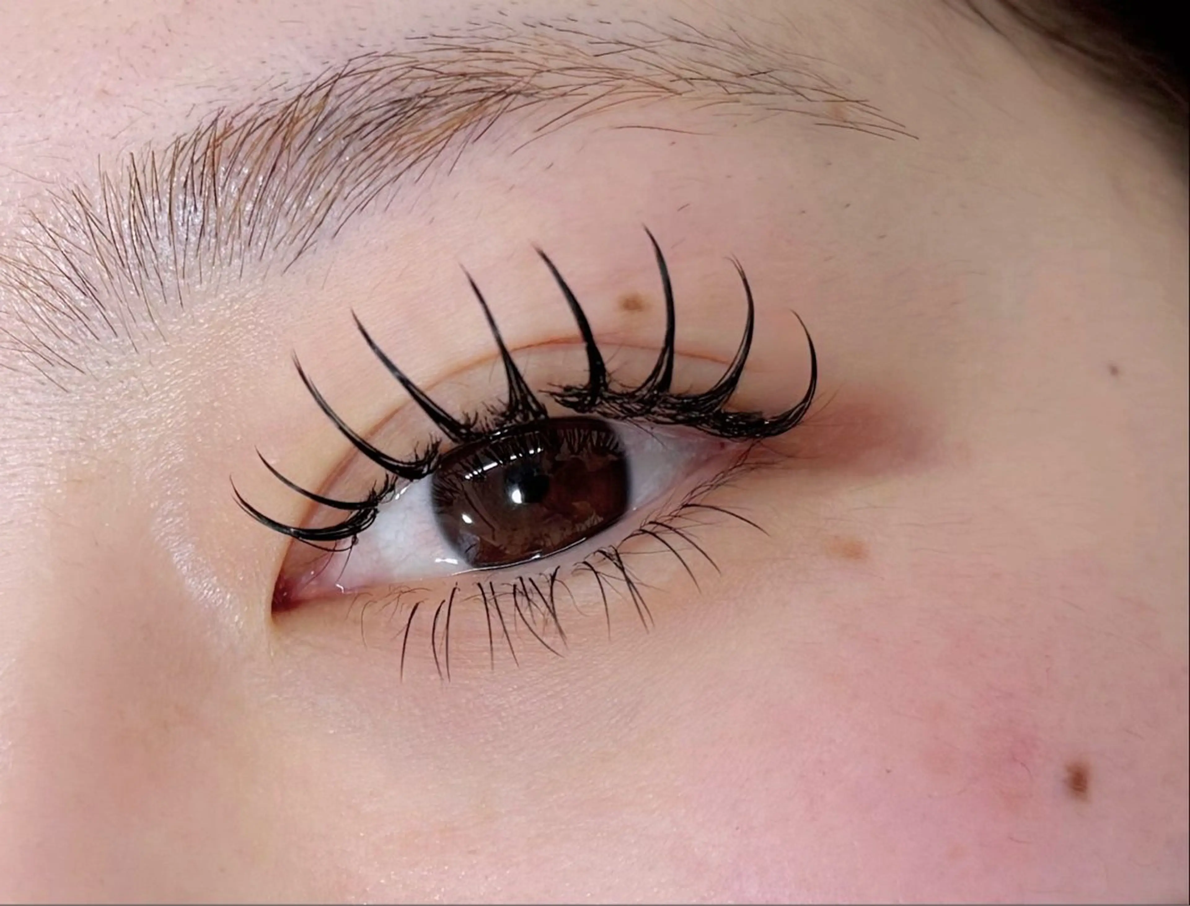 写真モデル募集】フラットラッシュ120本の写真