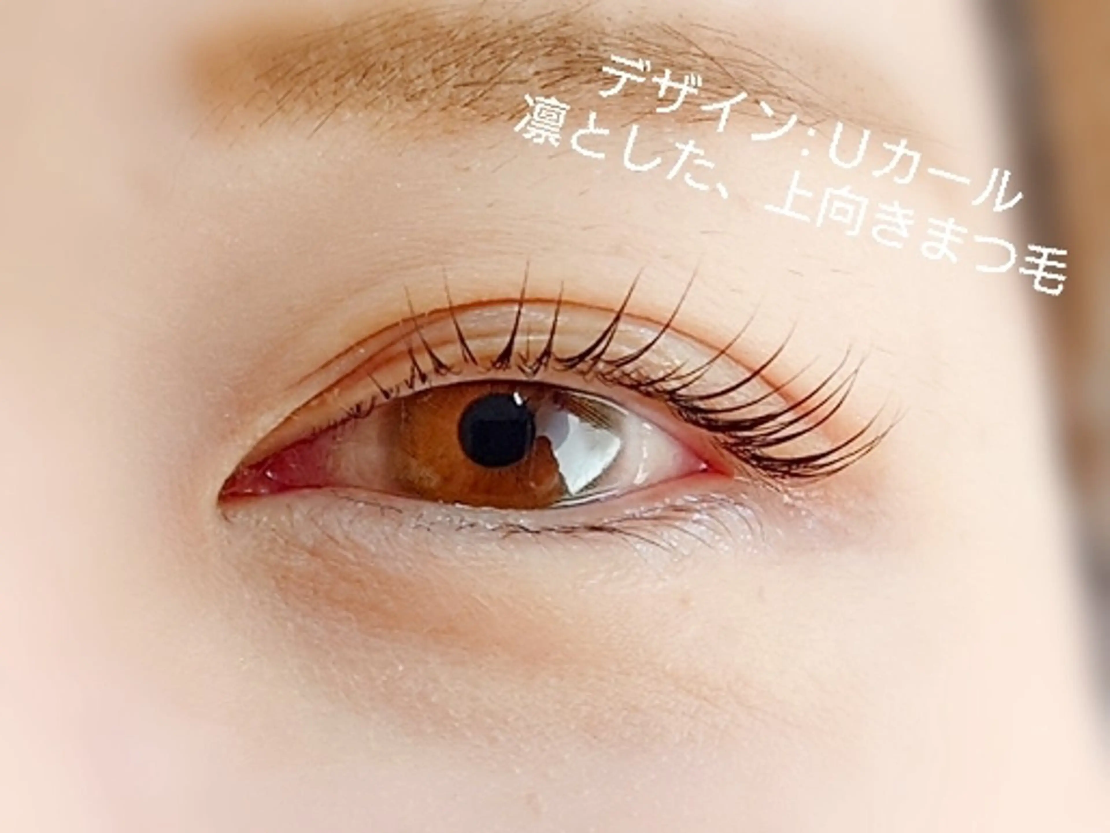 マツエク・マツパ 一重×まつ毛パーマ ビューティーサロン MOMOのマツエク・マツパデザイン