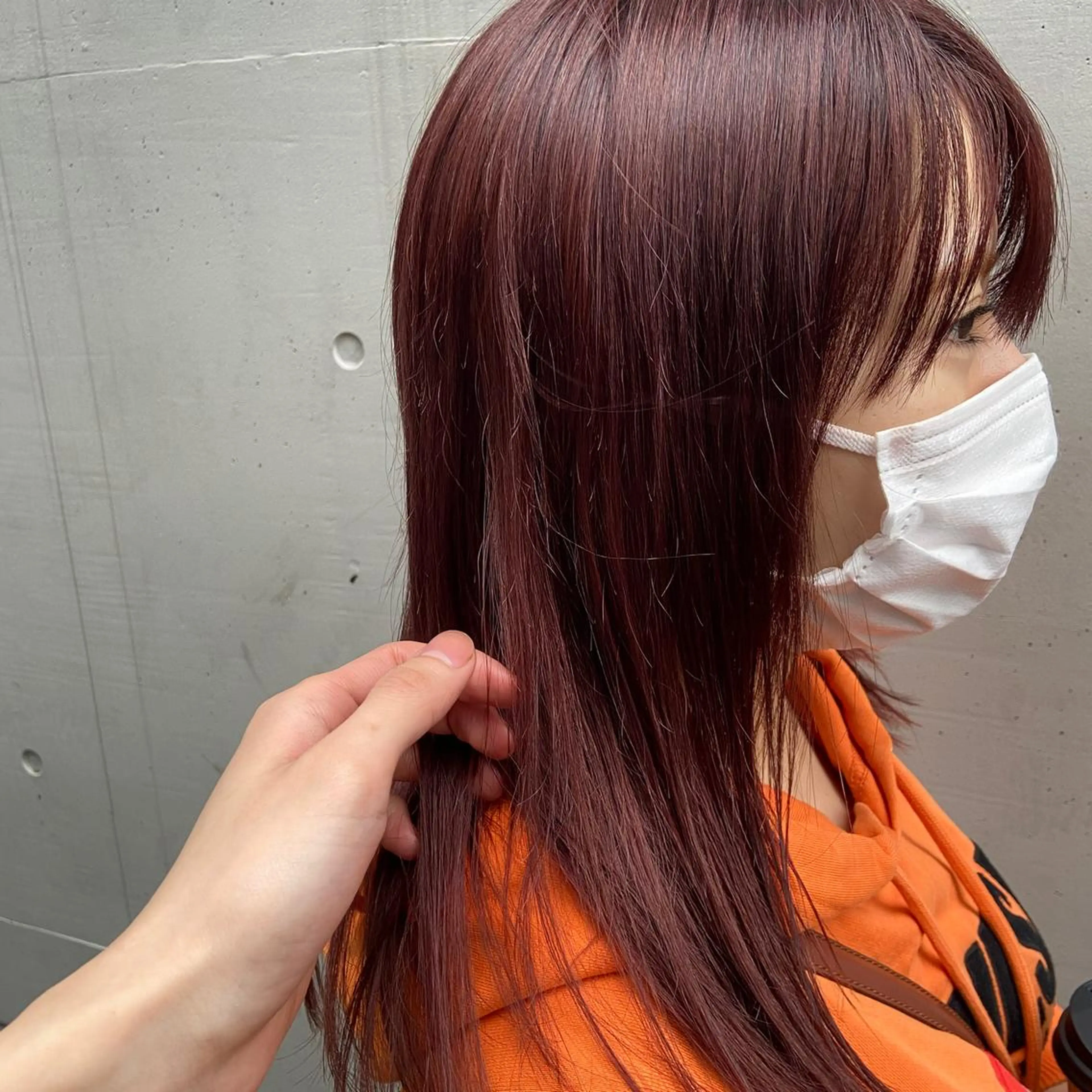 セミロング カラー ショート/ウルフ ハイトーン/カイセイのヘアスタイル