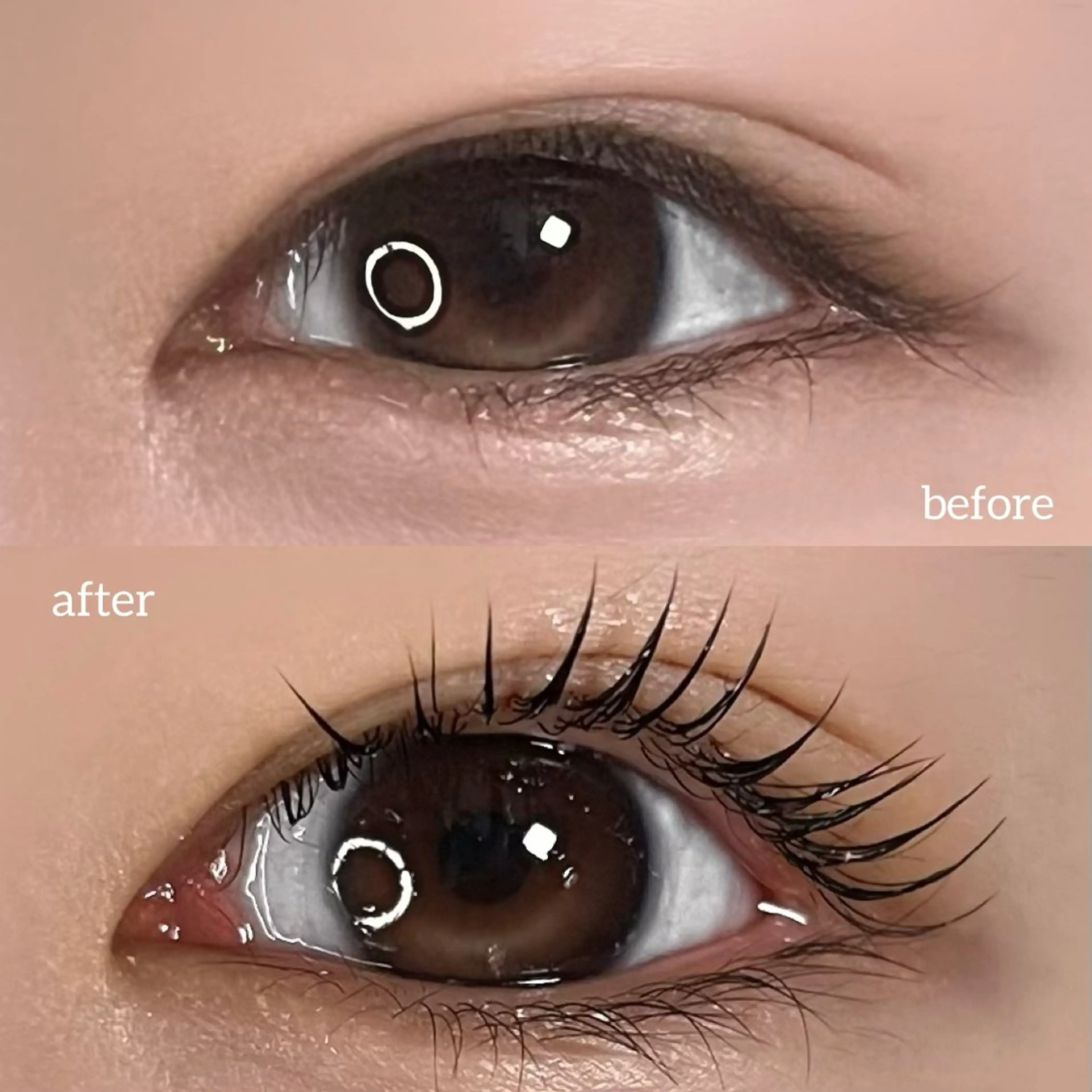 マツエク・マツパ 垢抜け眉WAX専門 ちゅるんまつげ|鎌倉の眉毛・アイブロウイメージ