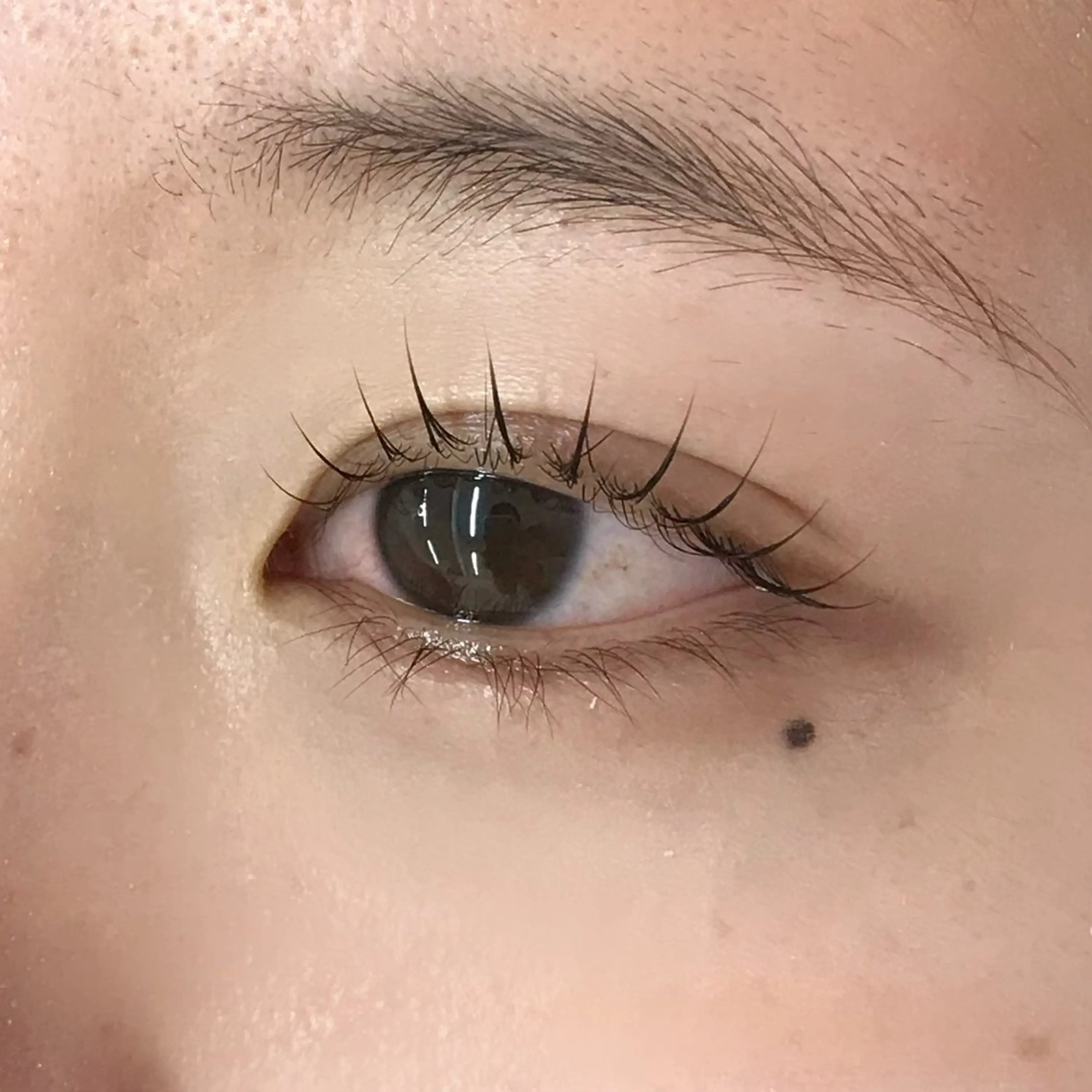 マツエク・マツパ uland yuzukiの眉毛・アイブロウイメージ