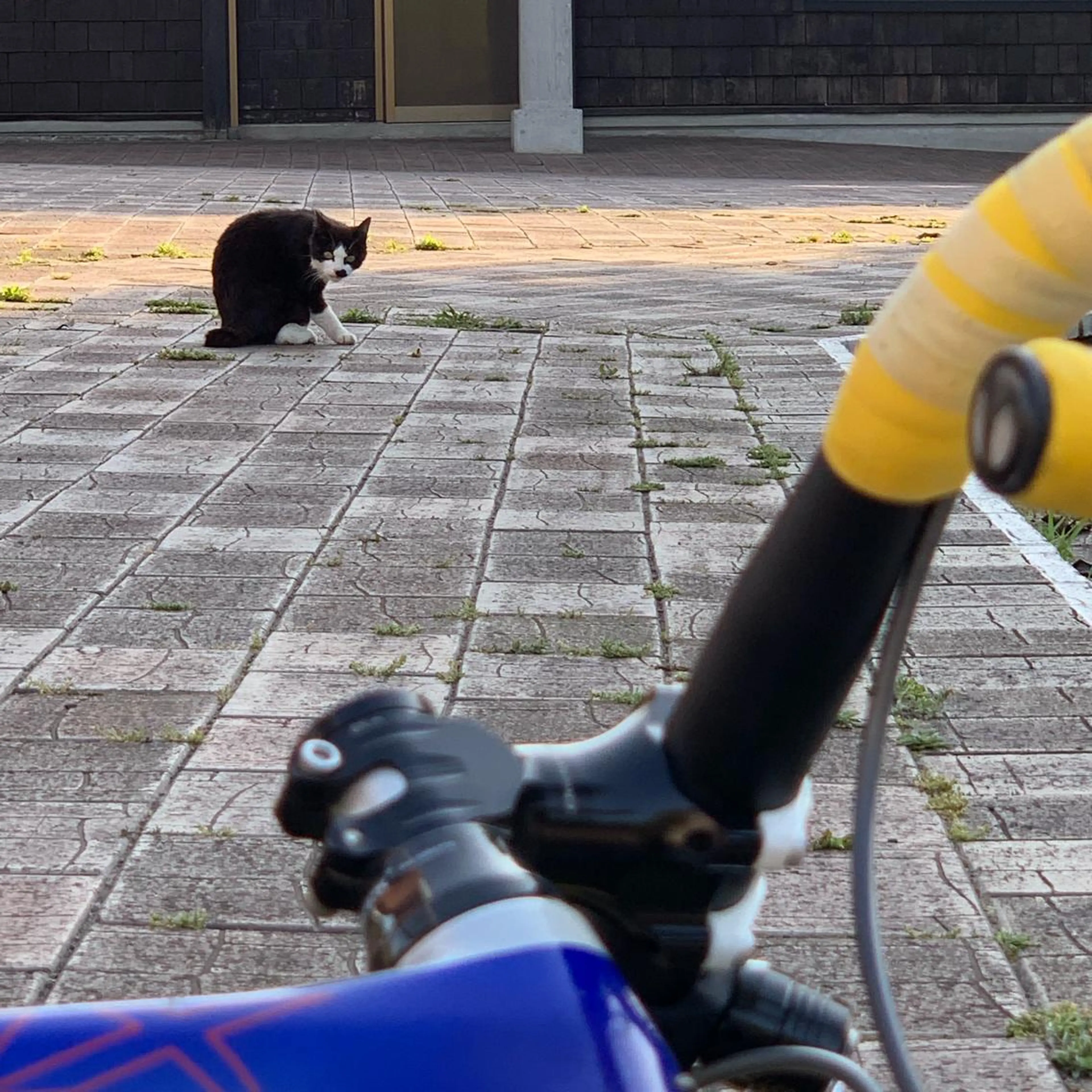 くつろぎ 小悪魔のエステ・リラクイメージ