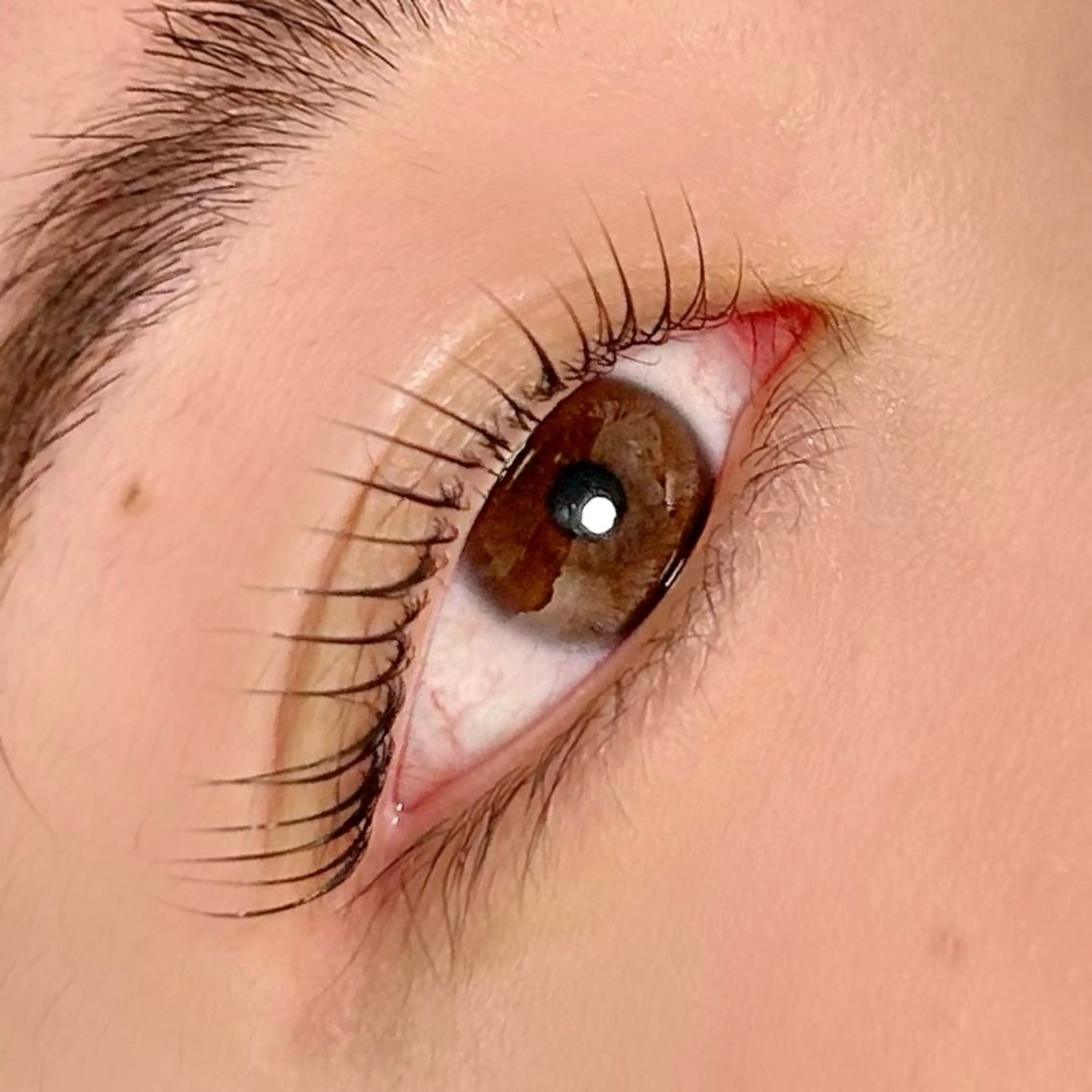 マツエク・マツパ PETALE ペタルのマツエク・マツパデザイン