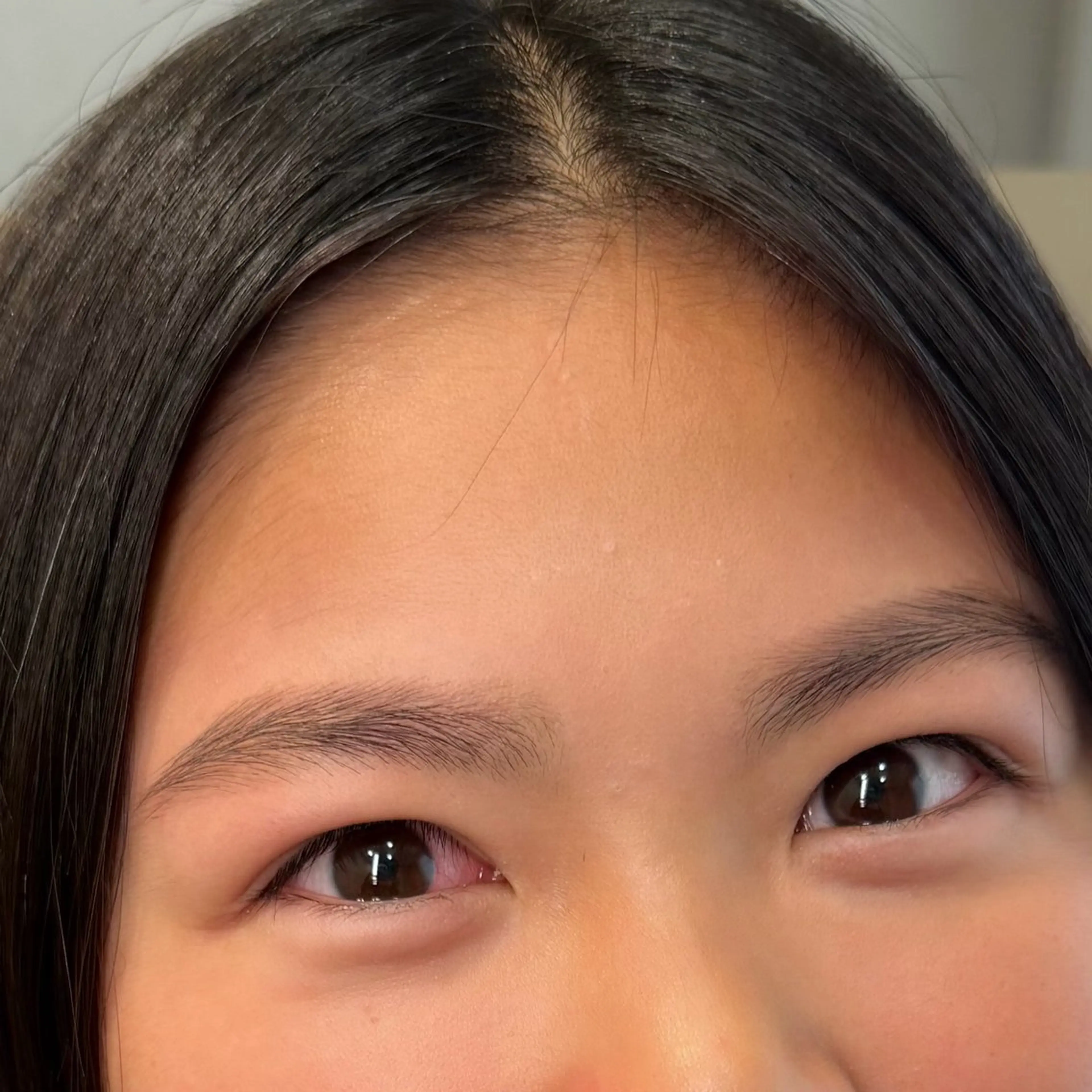 \平日限定限定/アイブロウワックス（間引きあり）の写真