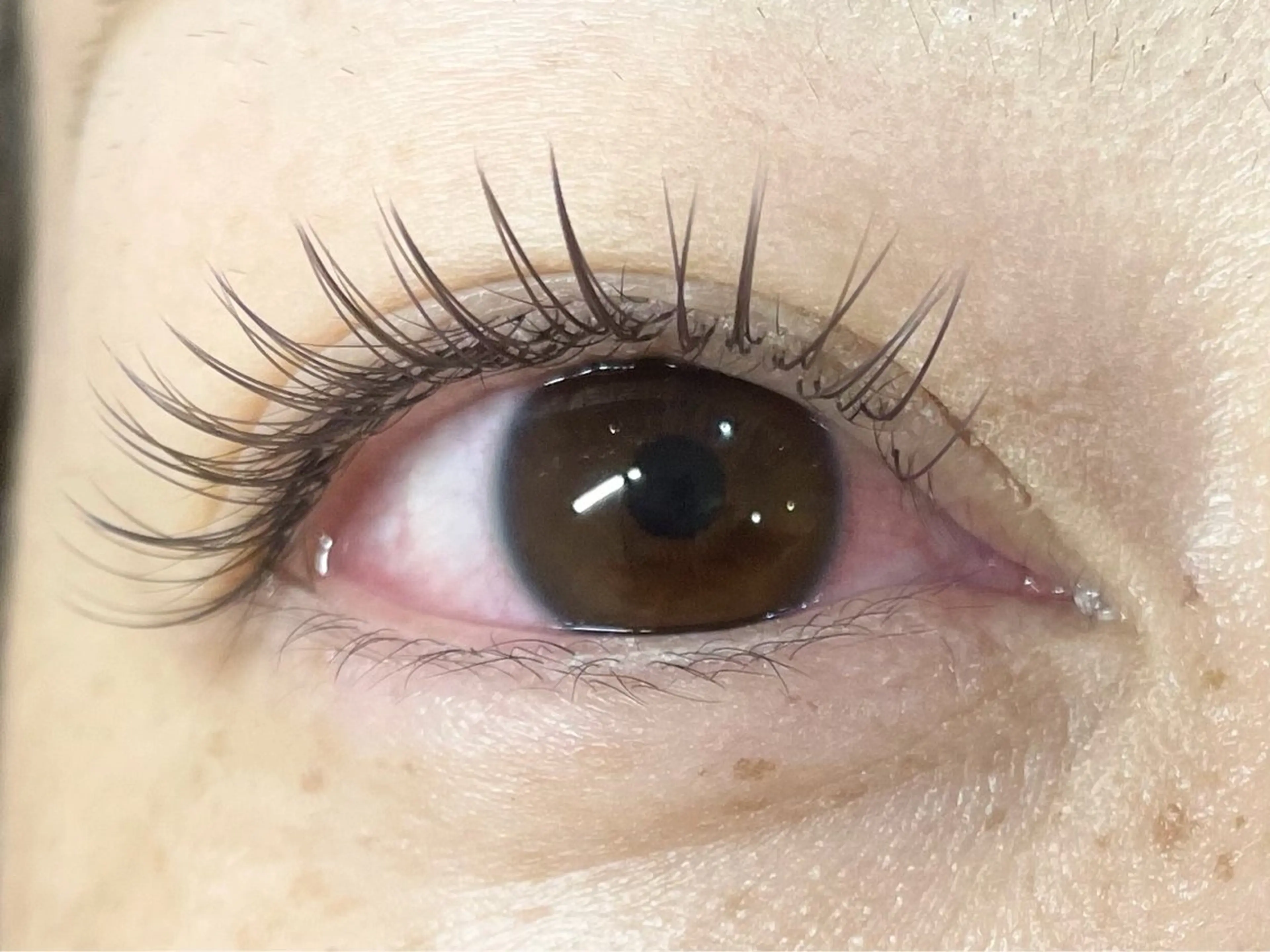 マツエク・マツパ フラットラッシュ マツエク 中村彩香 (エフドゥ)のマツエク・マツパデザイン