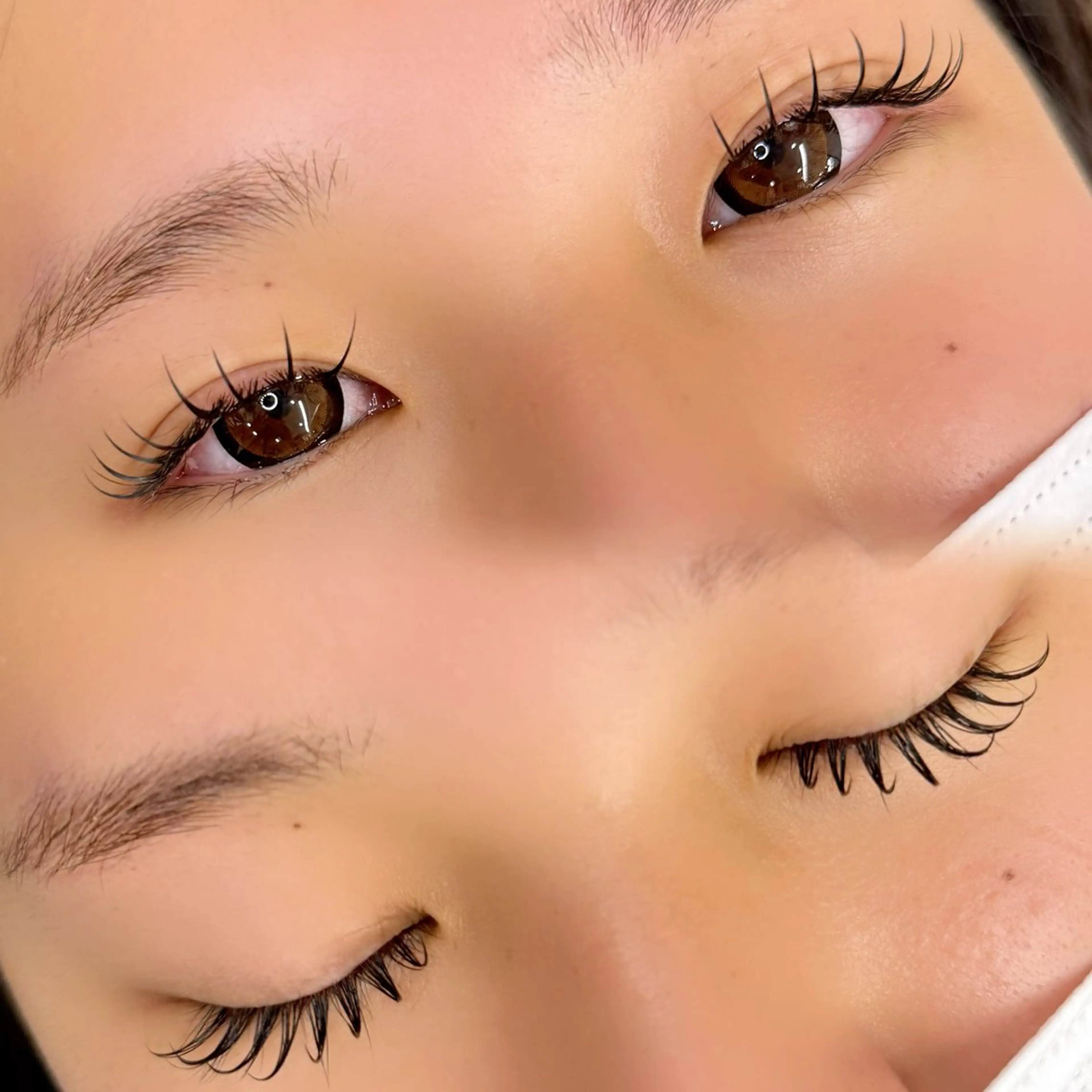 フラットラッシュ100本の写真