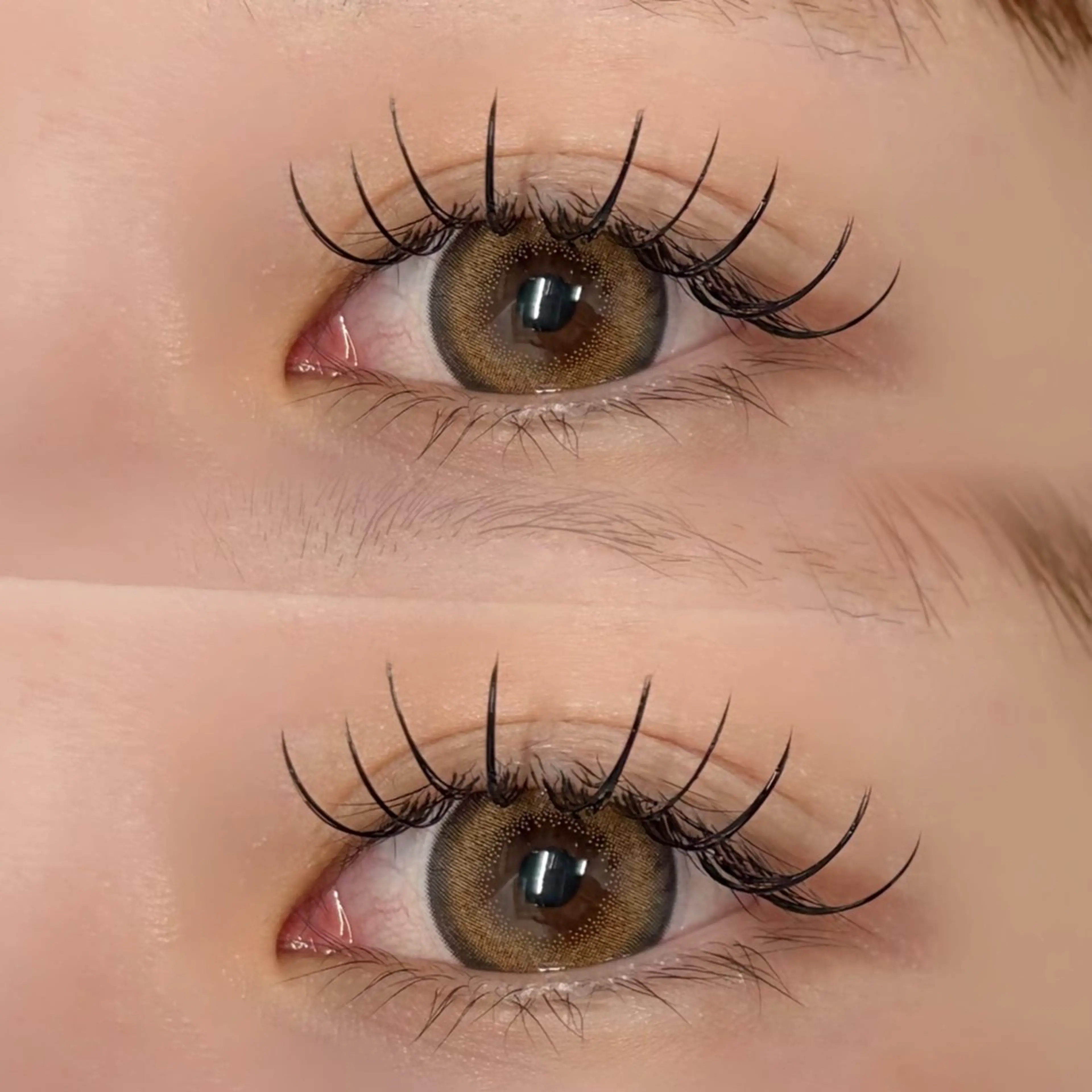 マツエク・マツパ マツエク パーマ指名No.1 🌼YUKARI🌼のマツエク・マツパデザイン