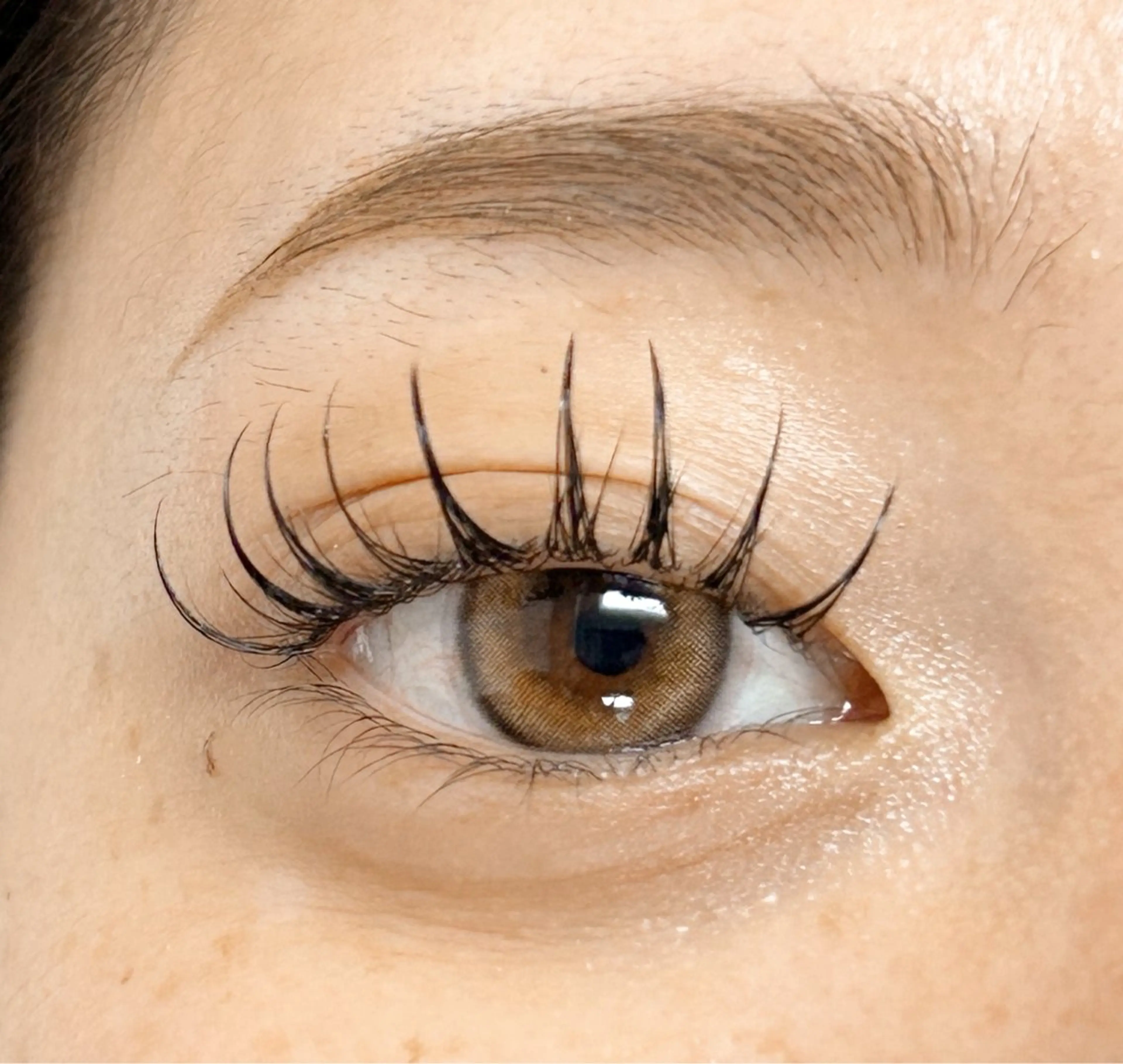 マツエク・マツパ peTiT京橋店 M A K Iの眉毛・アイブロウイメージ