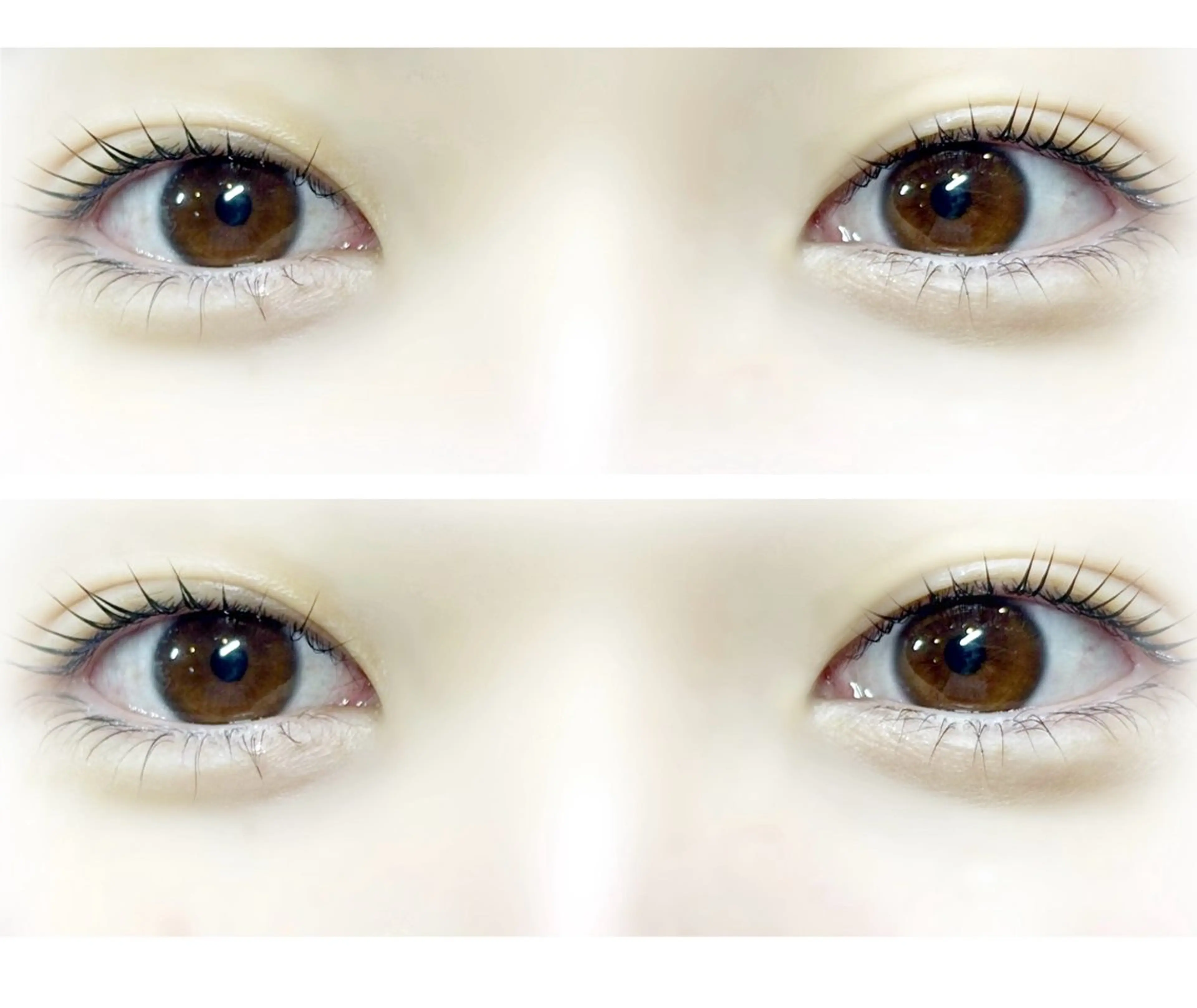 マツエク・マツパ TAKAHASHI 🎀✨韓国風/束感のマツエク・マツパデザイン