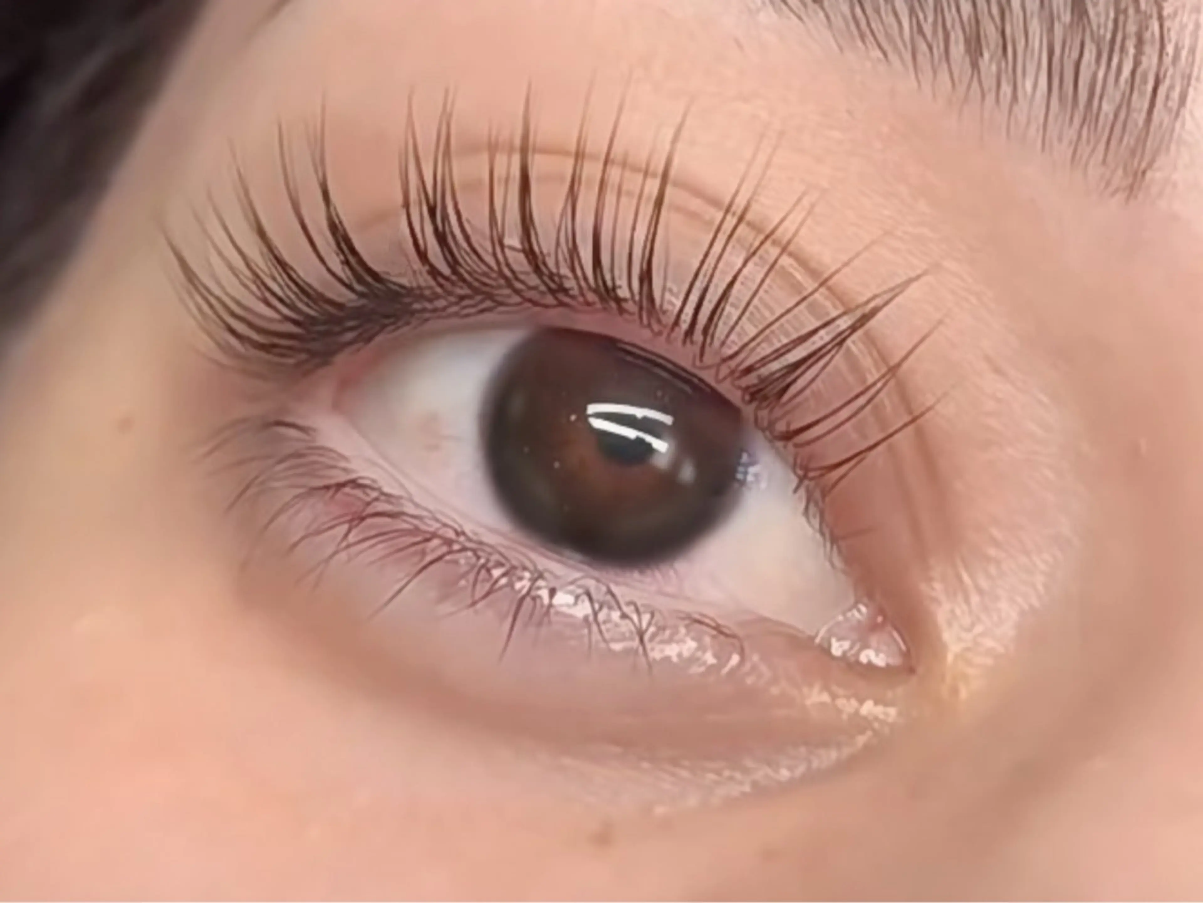 マツエク・マツパ EYE Missのマツエク・マツパデザイン