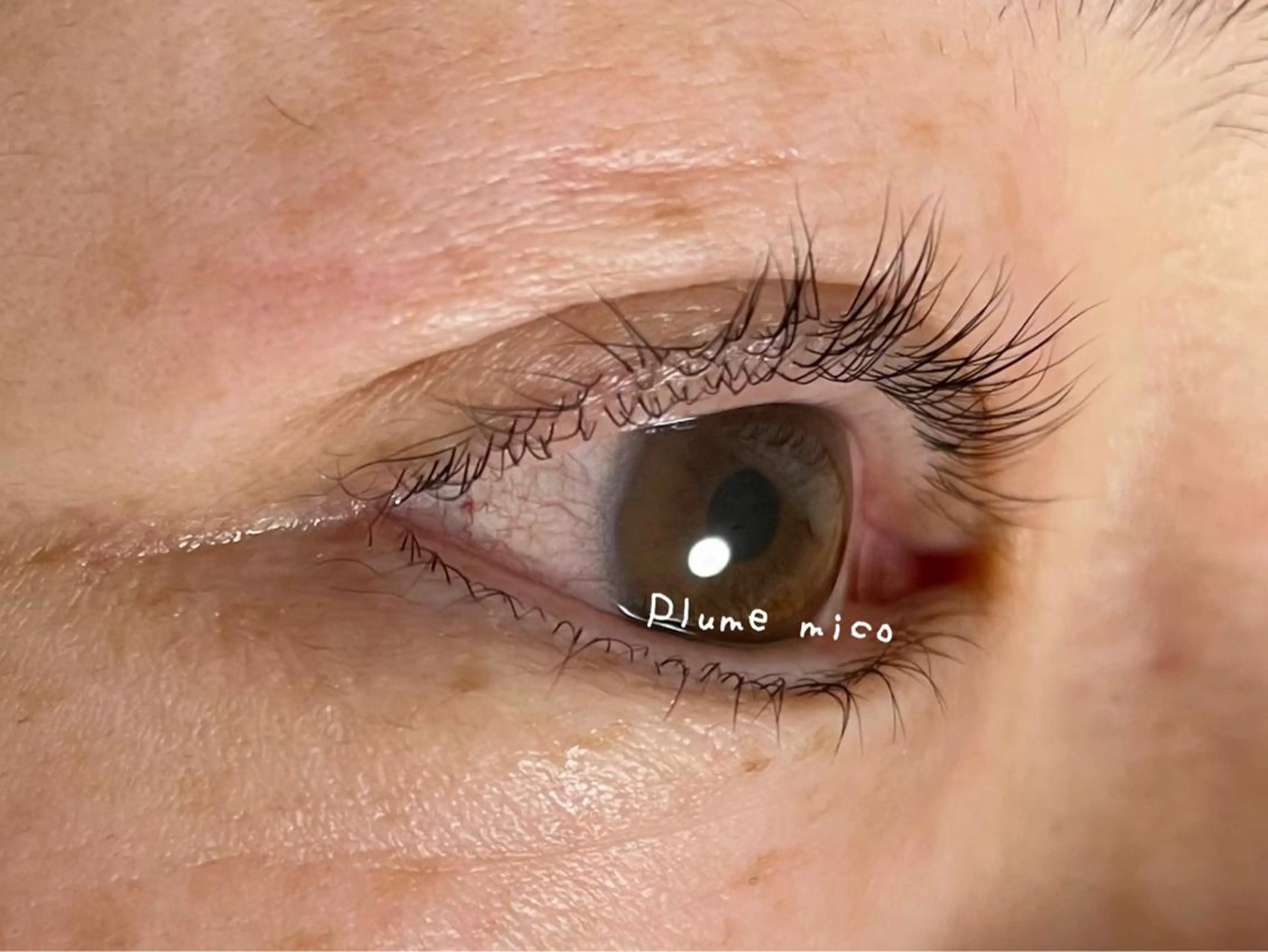 マツエク・マツパ マツパ Plume micoのマツエク・マツパデザイン