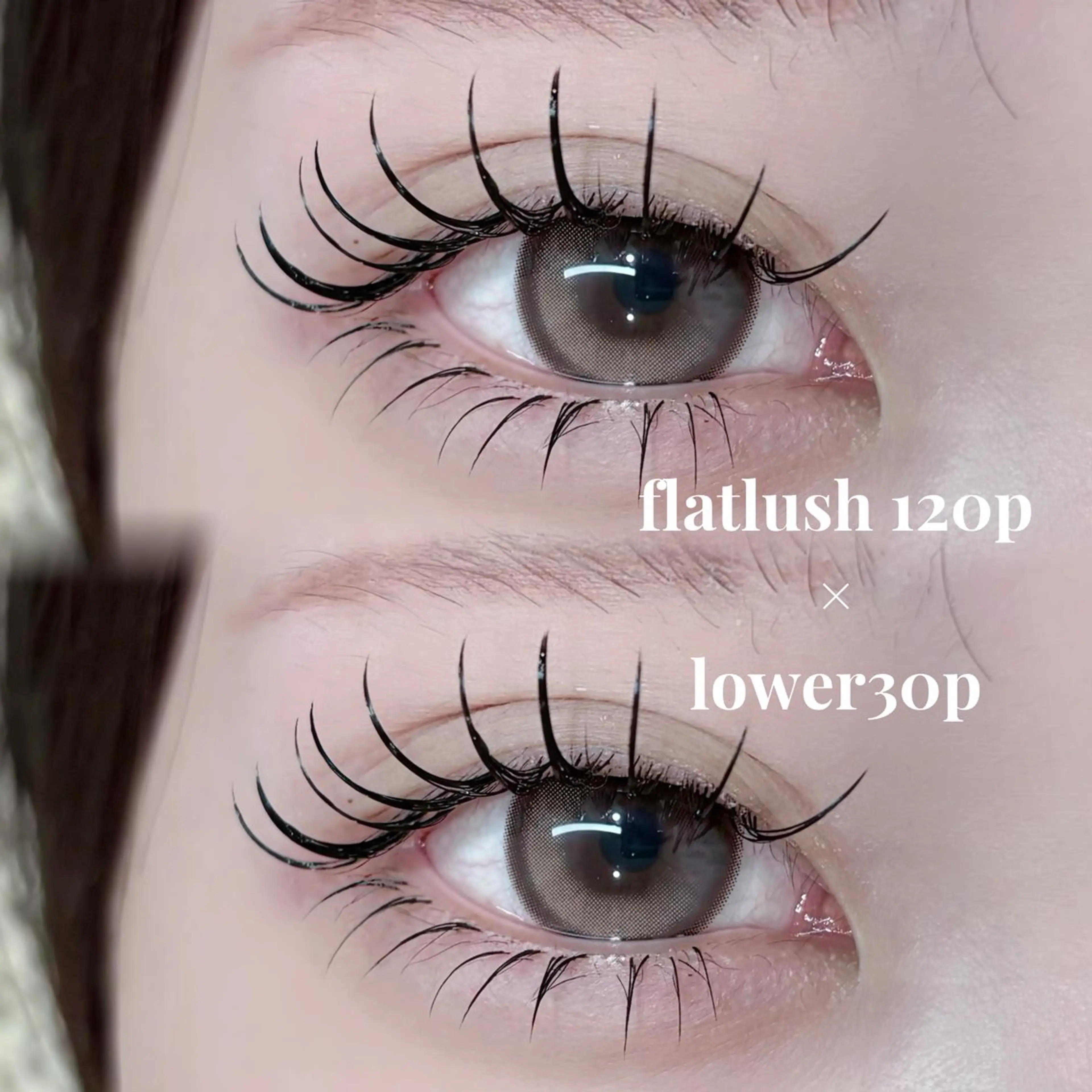 マツエク・マツパ マツエク アンドヘルシー/束感 /LED🩶MIYUのマツエク・マツパデザイン