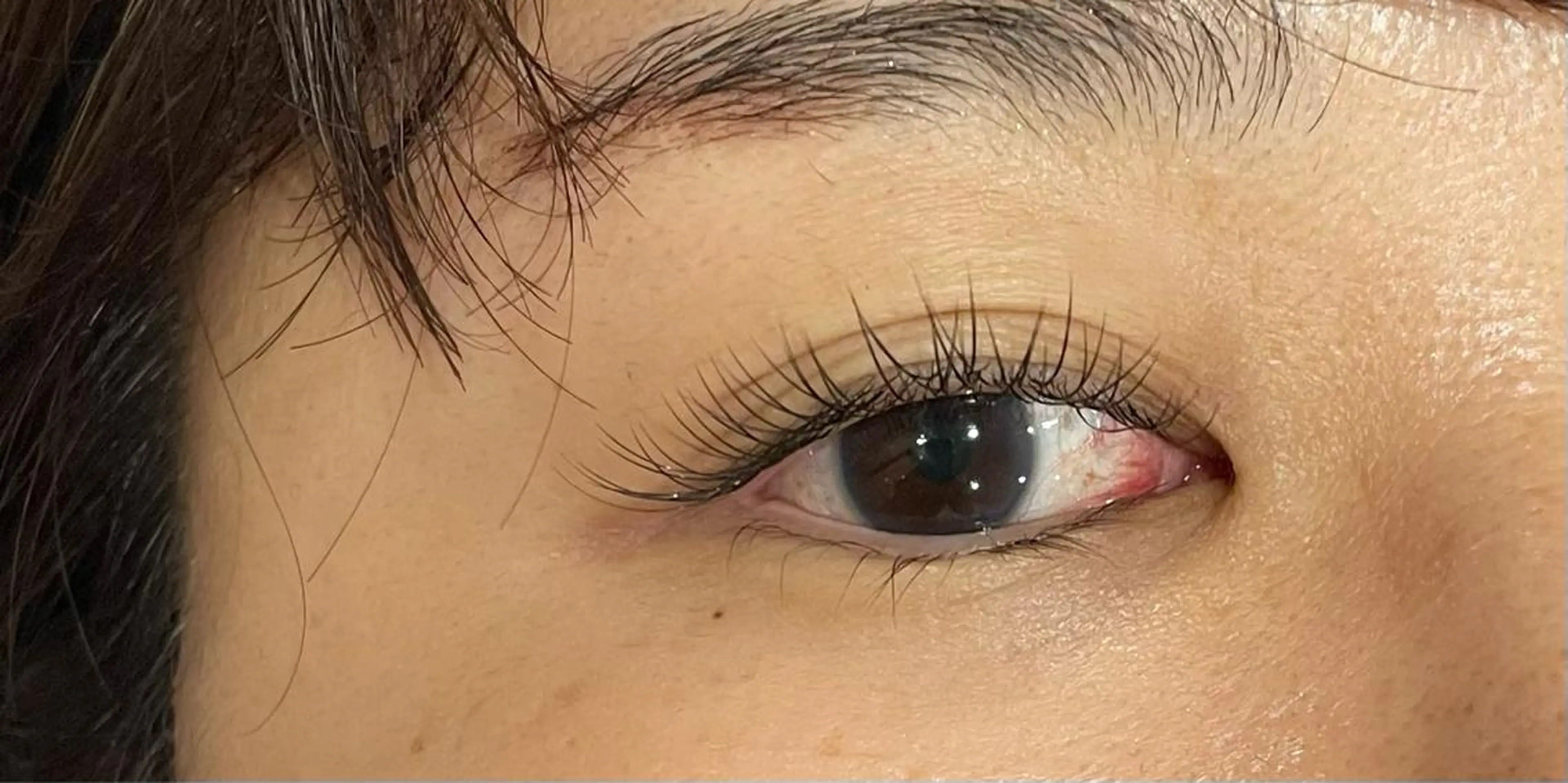 マツエク・マツパ フラットラッシュ Jカール PLUME🕊 yuunaのマツエク・マツパデザイン