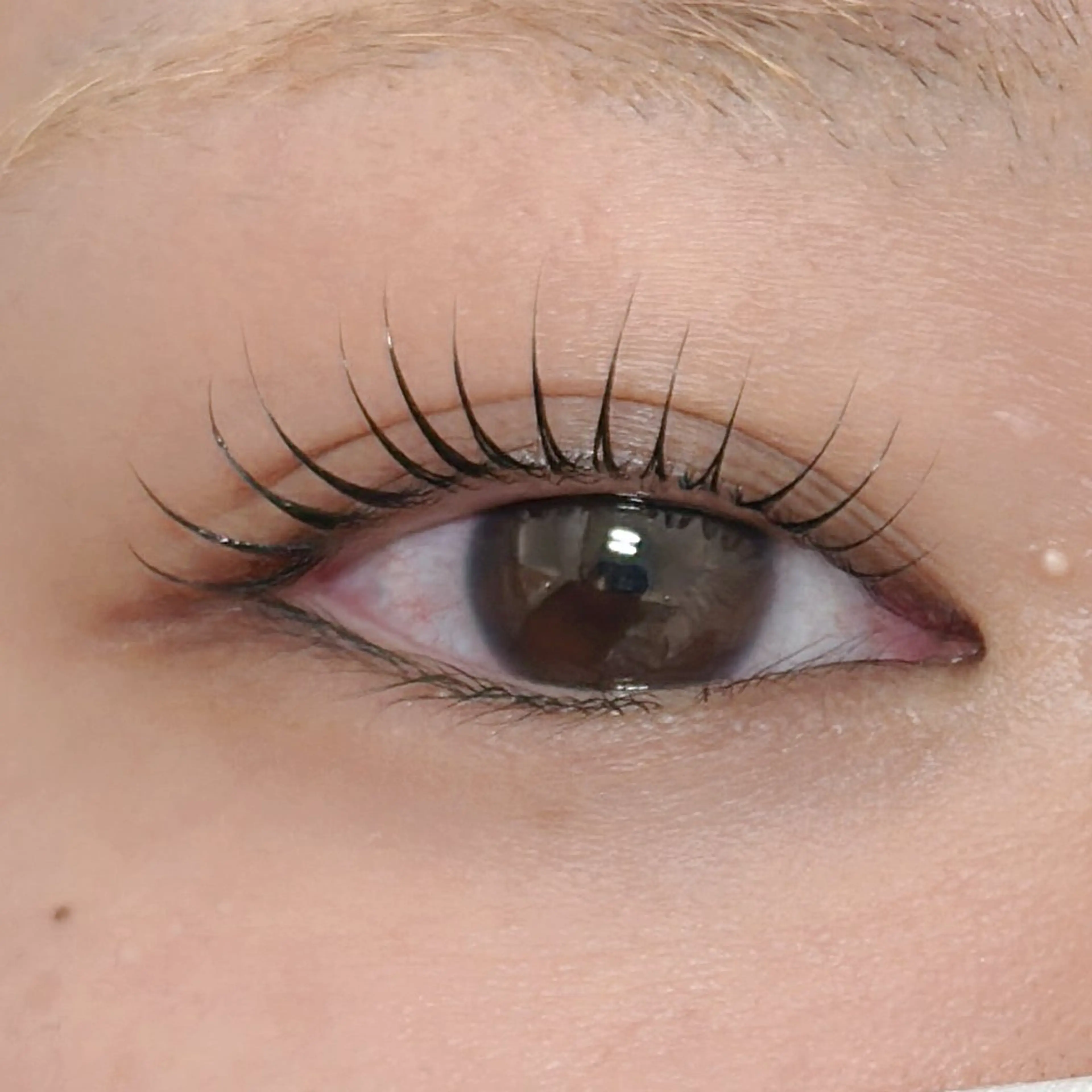 マツエク・マツパ sasaki shinjuの眉毛・アイブロウイメージ