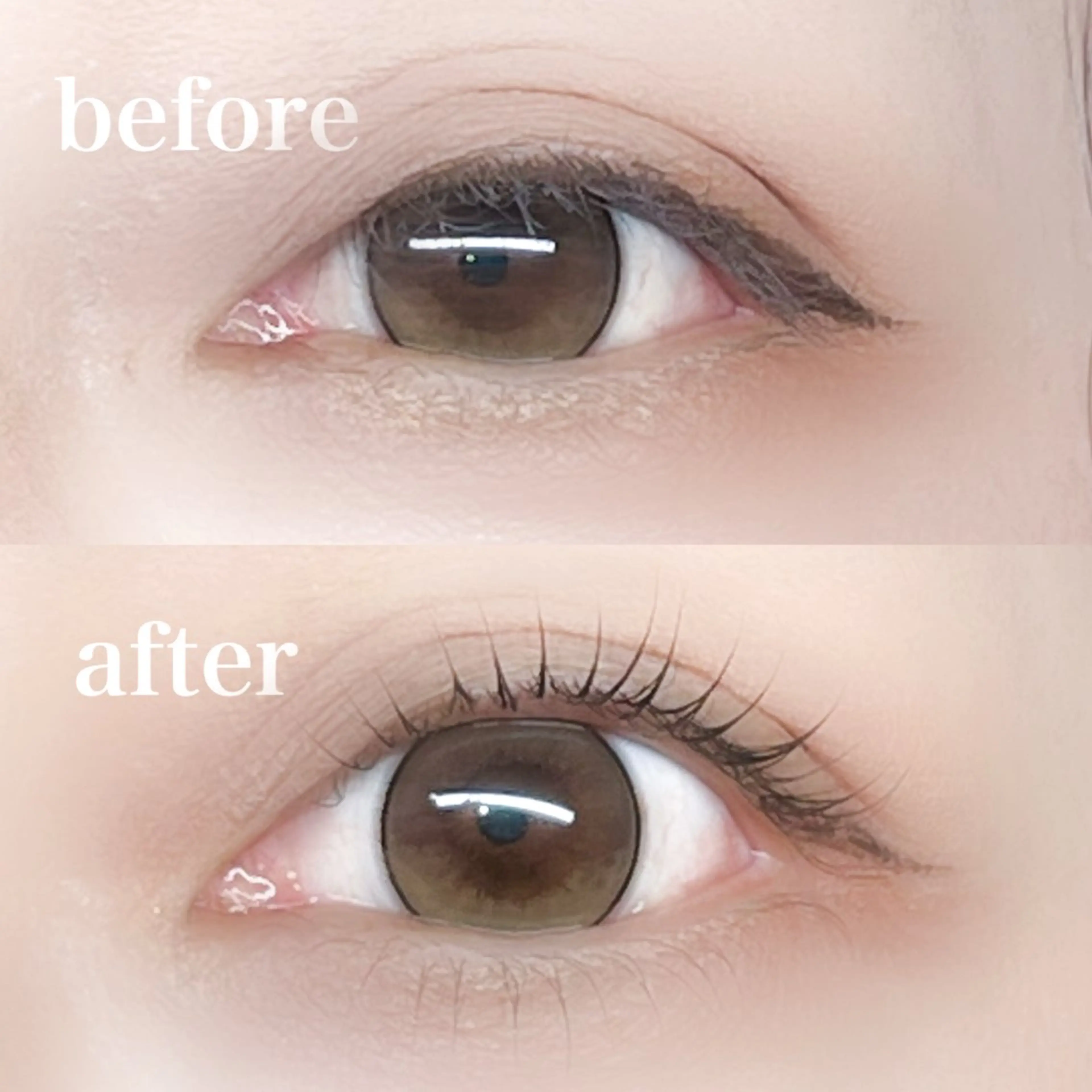 🩰上下ちゅるちゅる潤いまつ毛パーマ（トリートメント付き）の写真