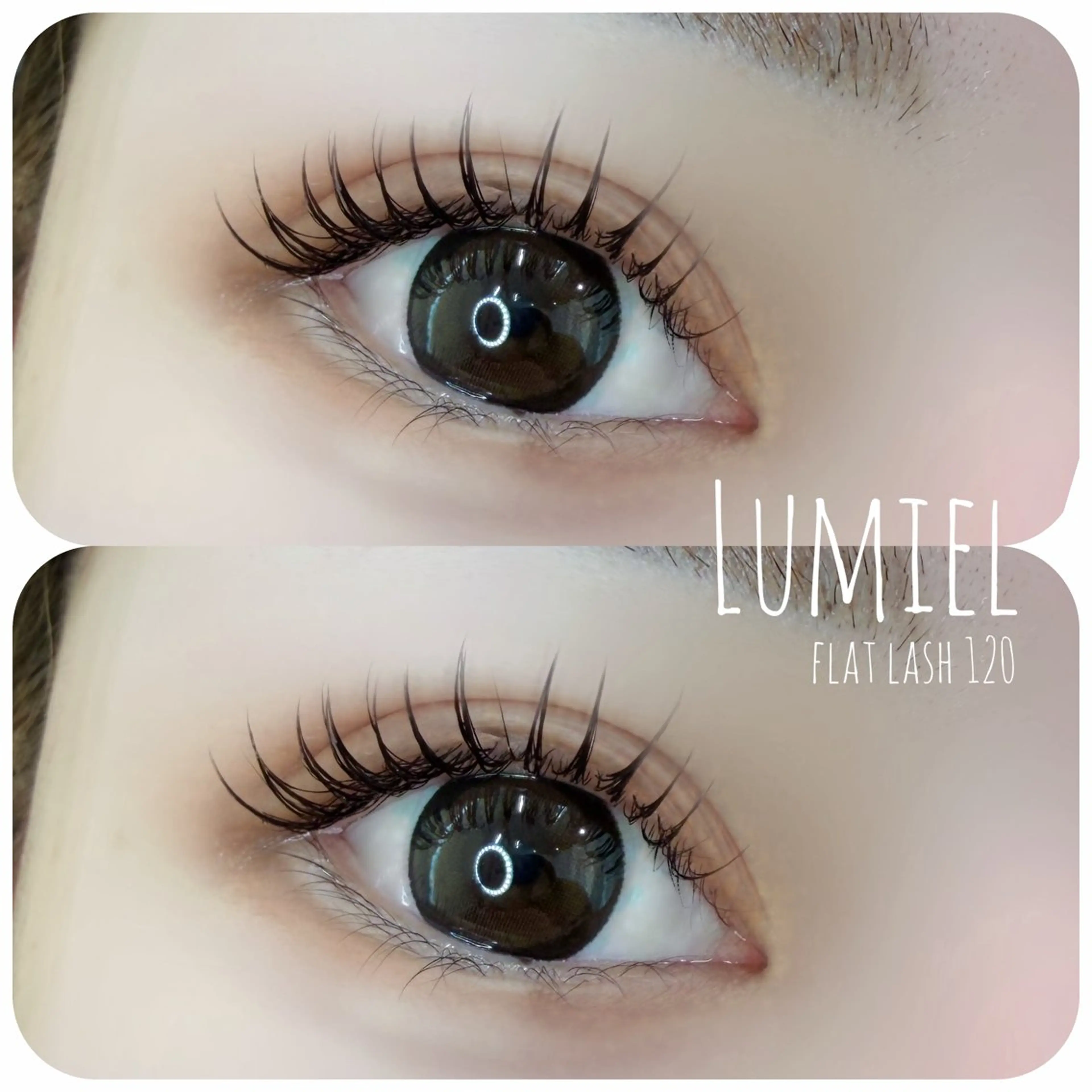 《初回限定》フラットラッシュ 120本 （初回オフ無料👀💕）トリートメント仕上げ✨️の写真