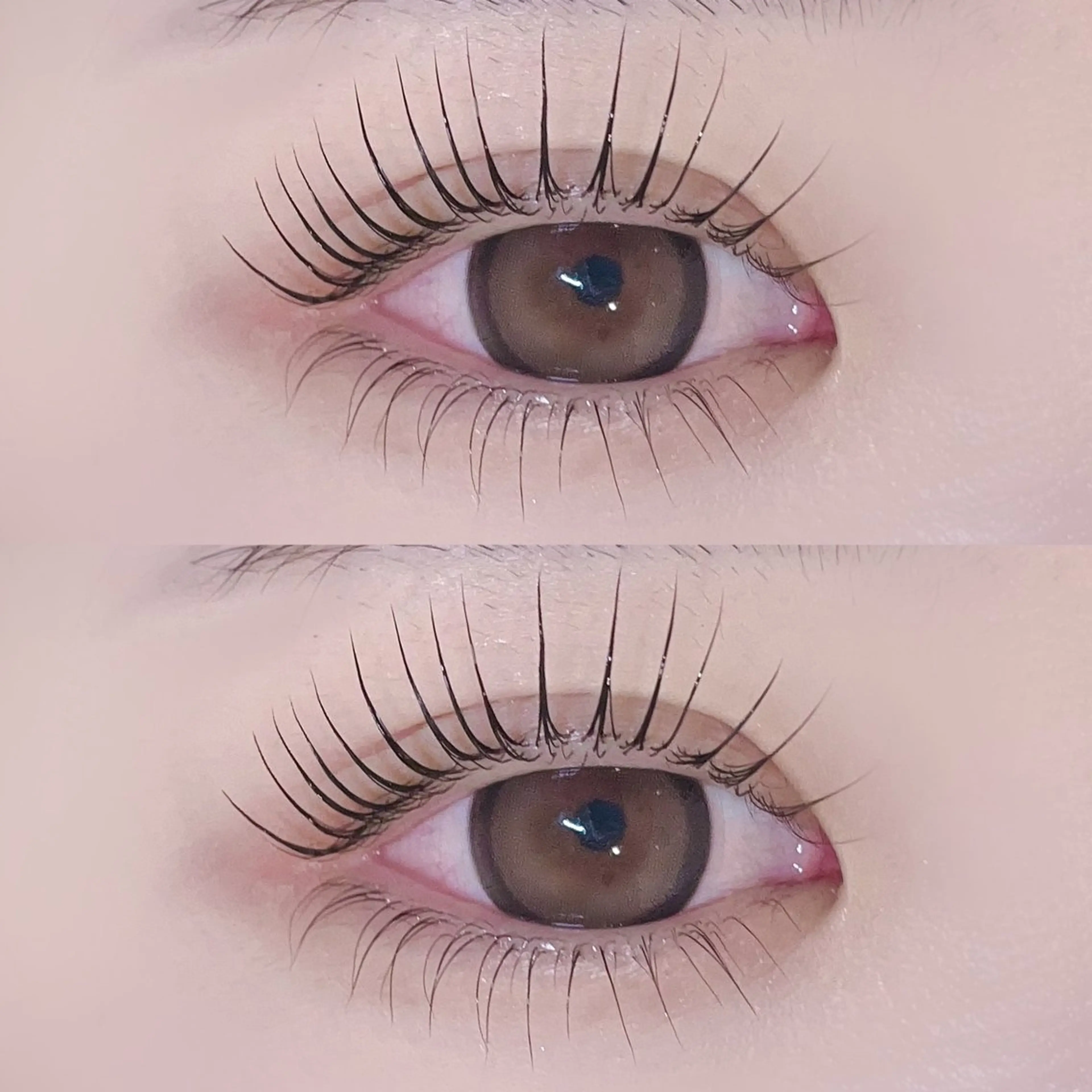 マツエク・マツパ パリジェンヌラッシュリフト 一重×まつ毛パーマ マツパ 🦋束感/LEDエク Hibiki🦋のマツエク・マツパデザイン