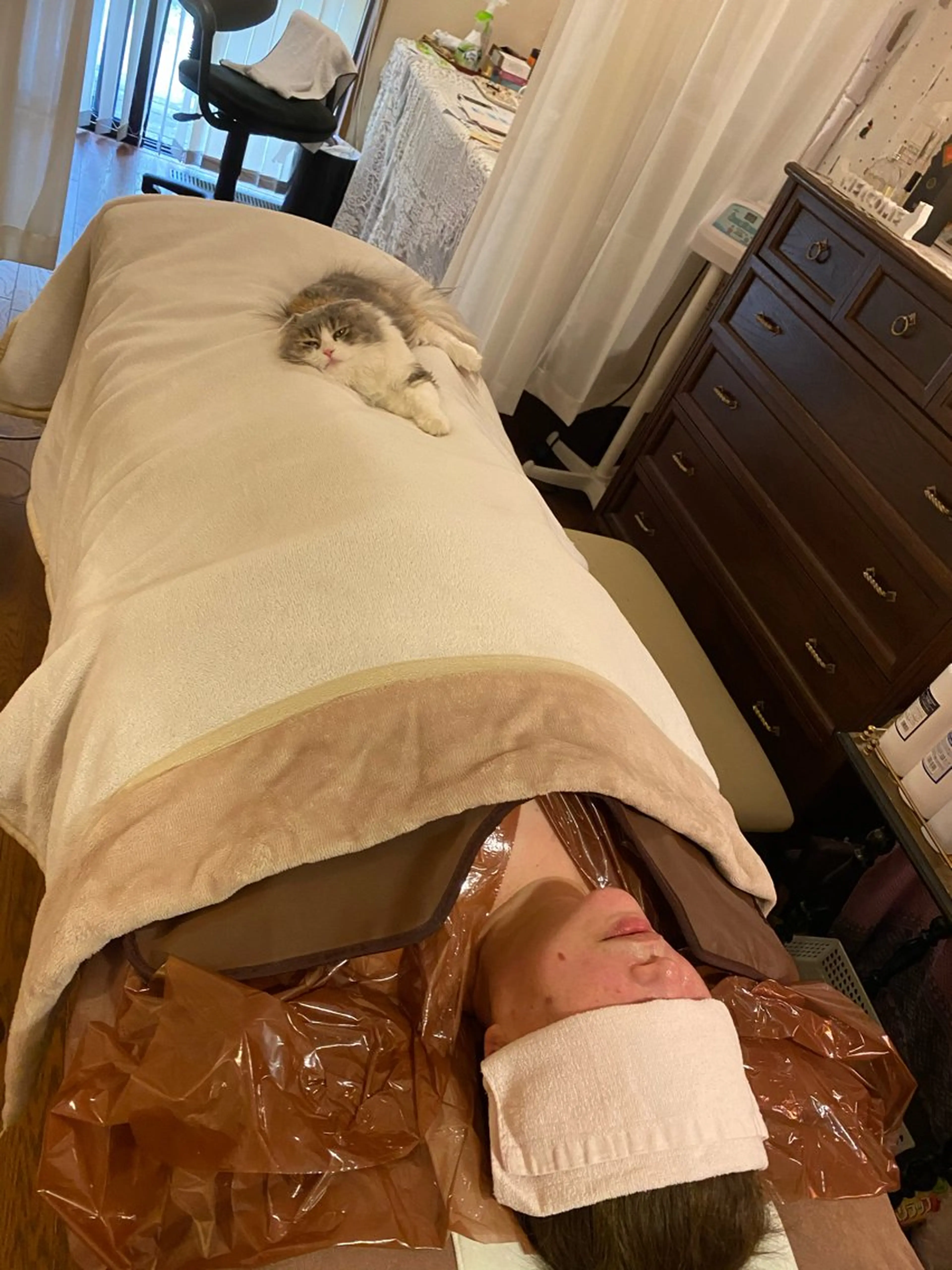 🐱温活🐱発汗ヒートマット体験/ヘッド付きの写真