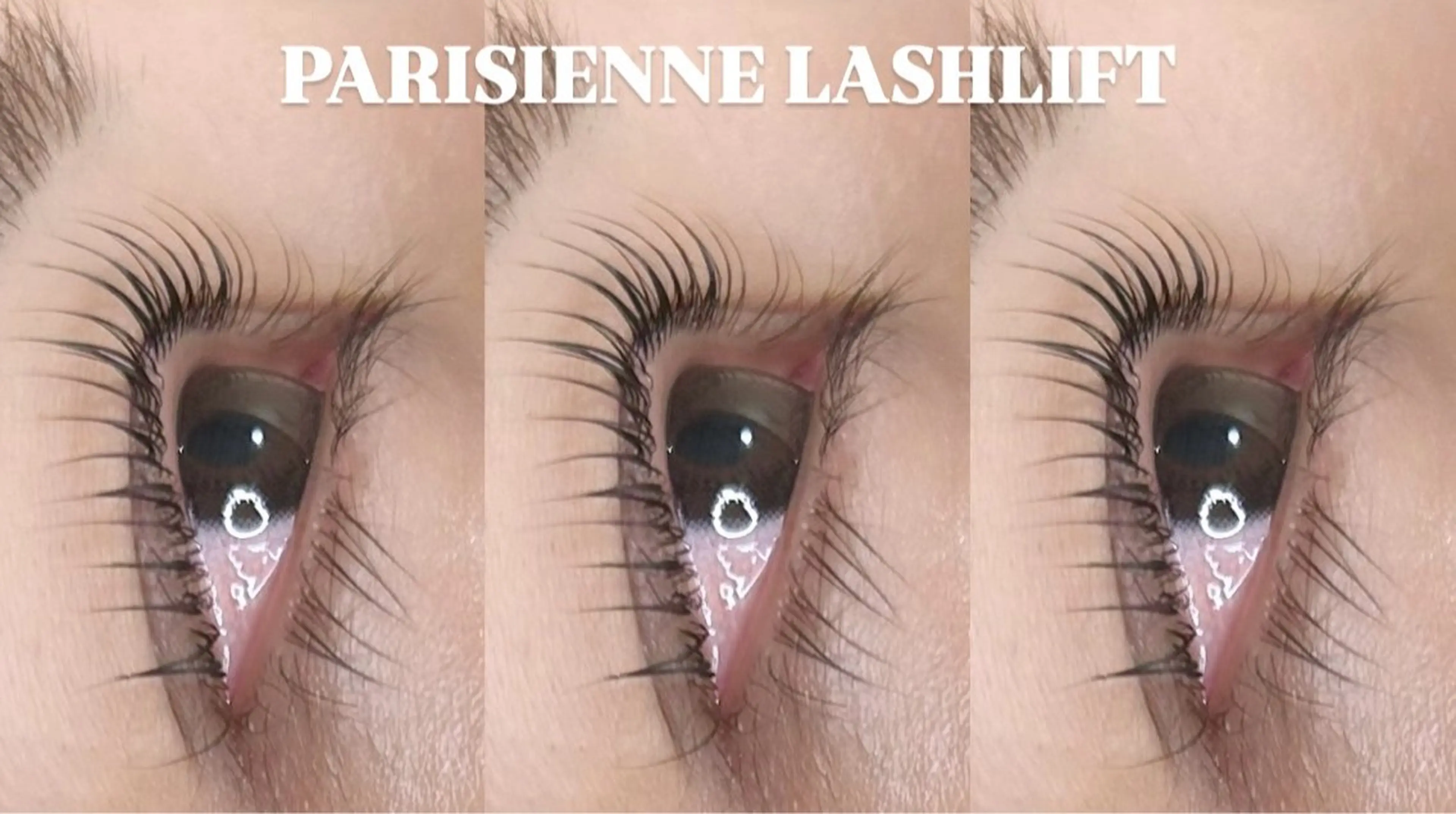 【3月限定価格🎓】パリジェンヌラッシュリフトの写真