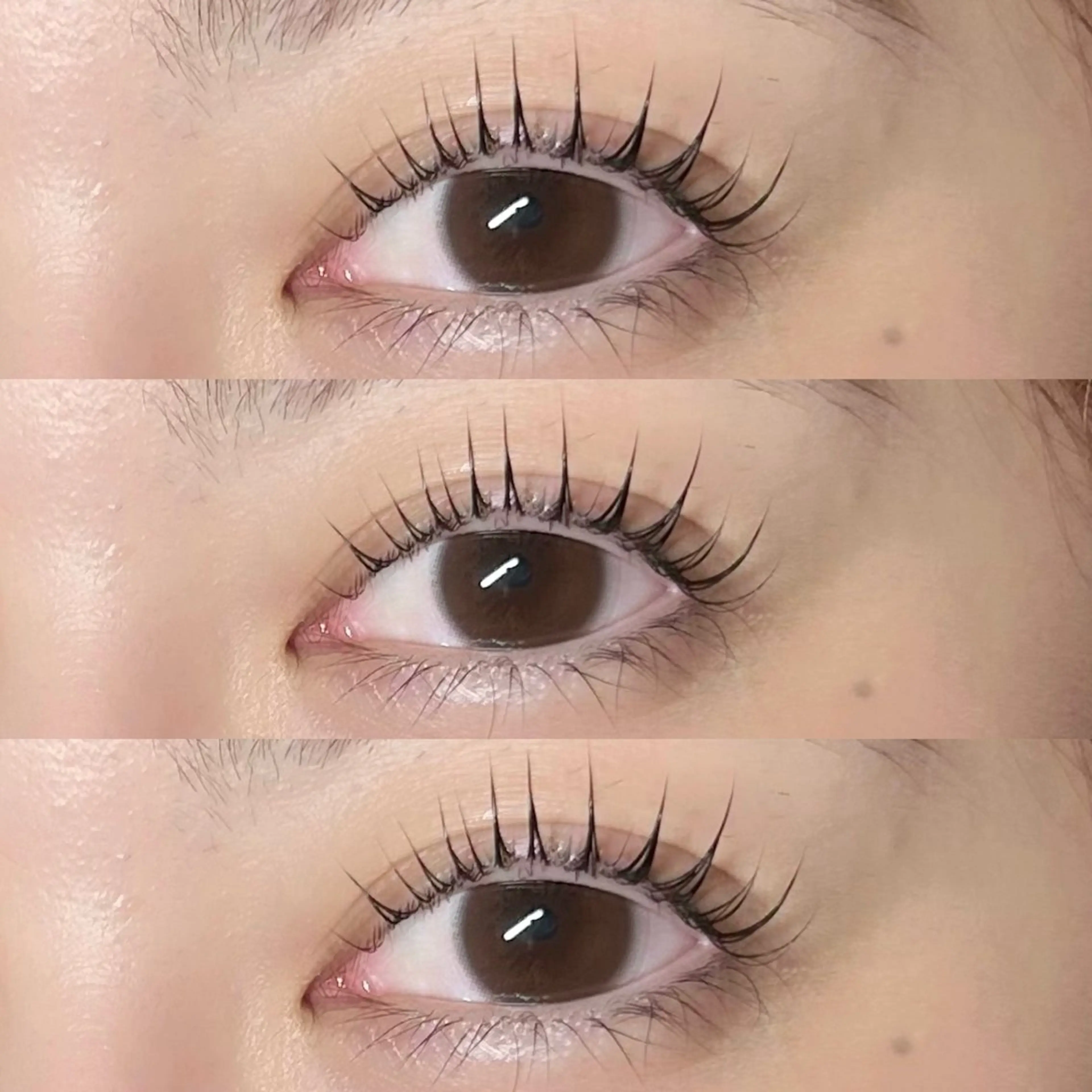 【数名限定】ケラチンラッシュリフトorパリジェンヌラッシュリフト🤍ケアコーティング付き🎀✨の写真