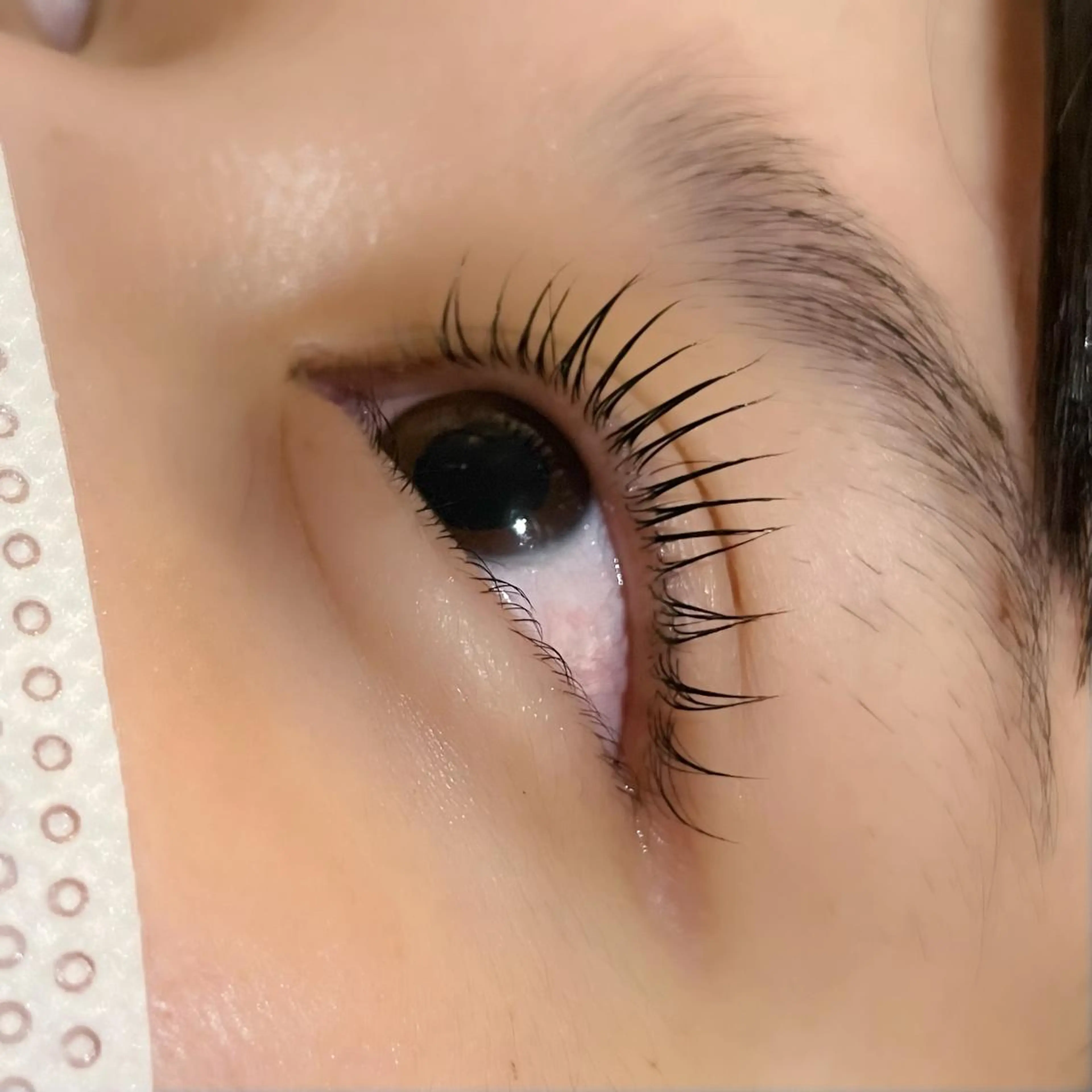 マツエク・マツパ マホ🐾 peep 蟹江店のマツエク・マツパデザイン