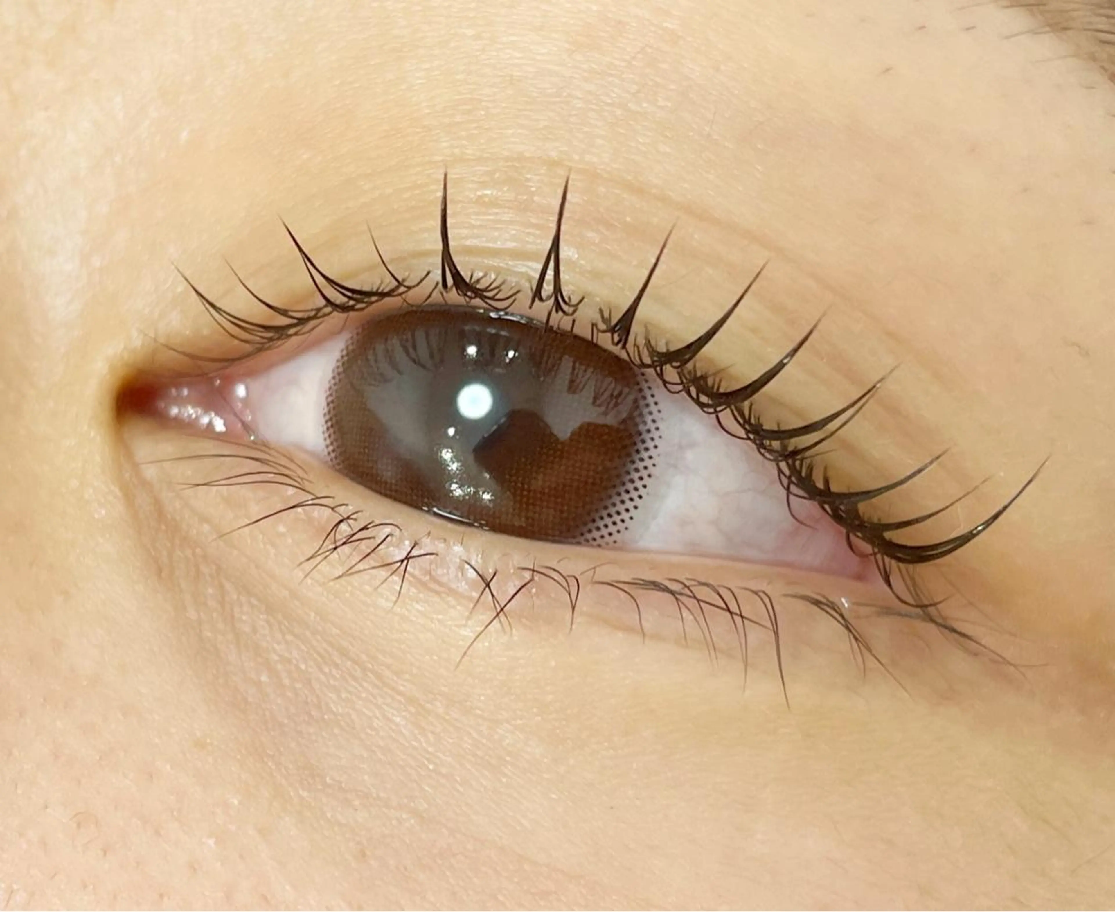 マツエク・マツパ LUANATOKYO 🫧武蔵小杉のマツエク・マツパデザイン