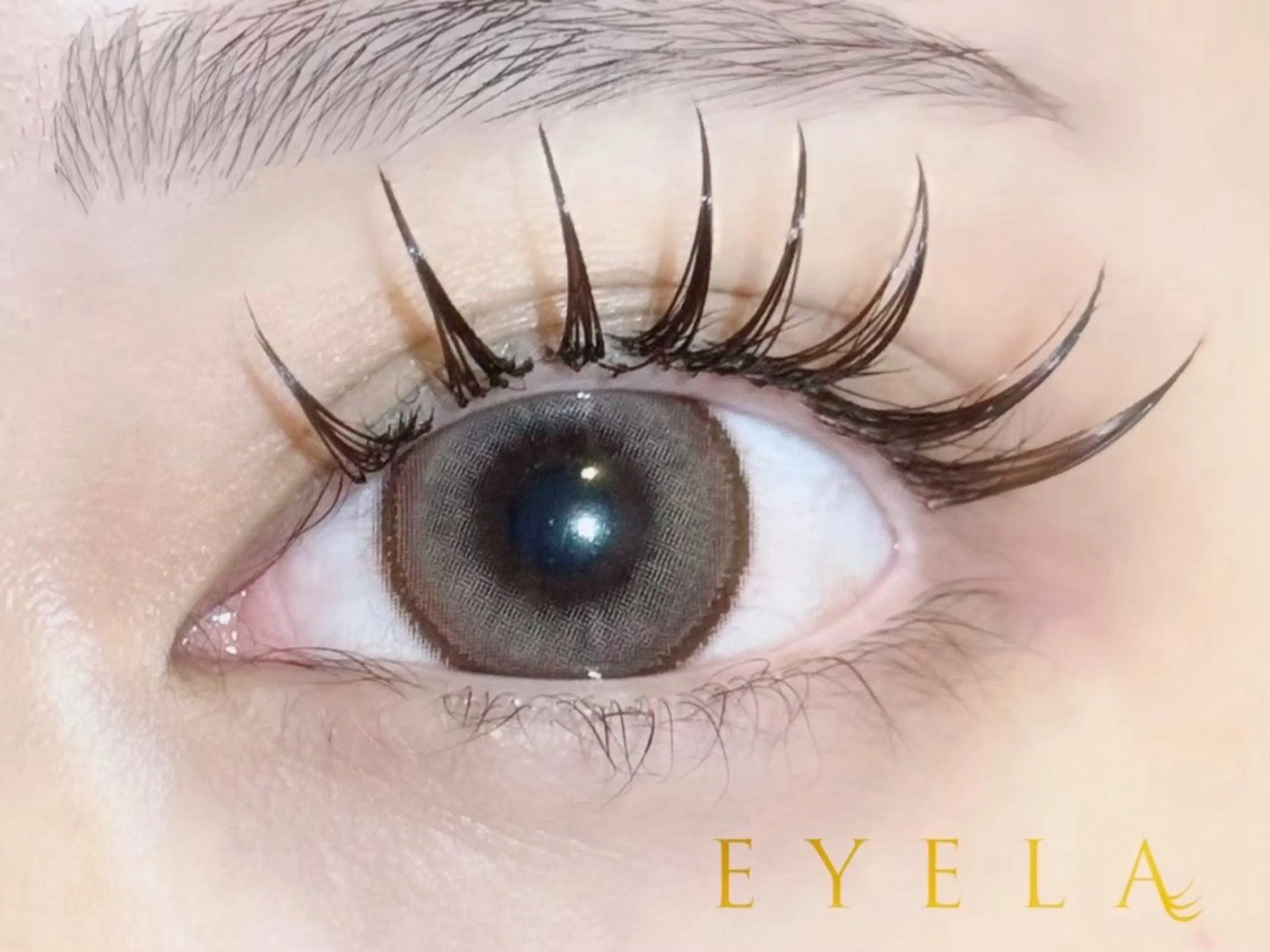 当日限定クーポン🌈LEDエクステ120本オフなし🌈の写真