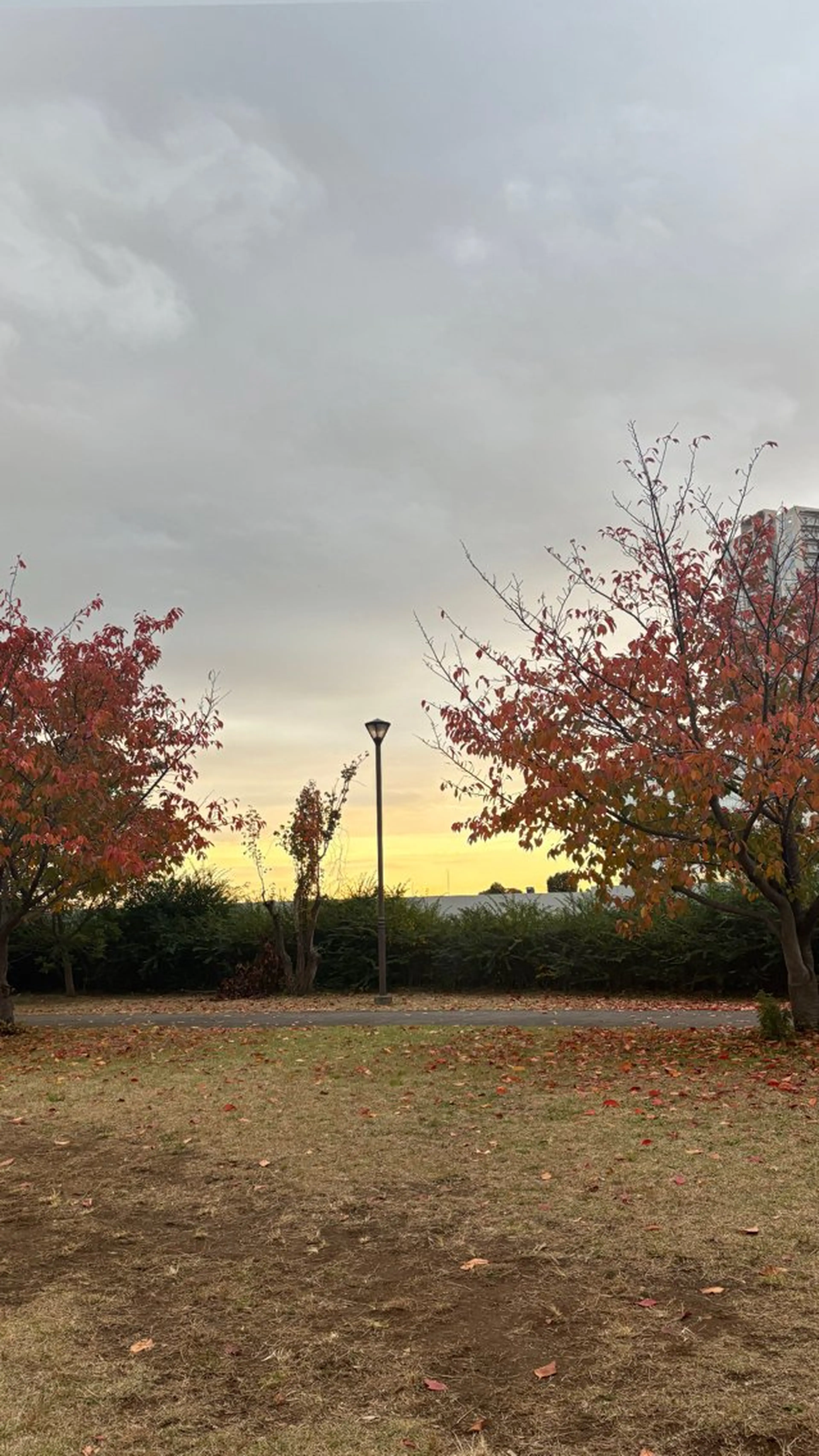 Yu-ka🌼*･ カラー縮毛矯正❣️のヘアスタイル
