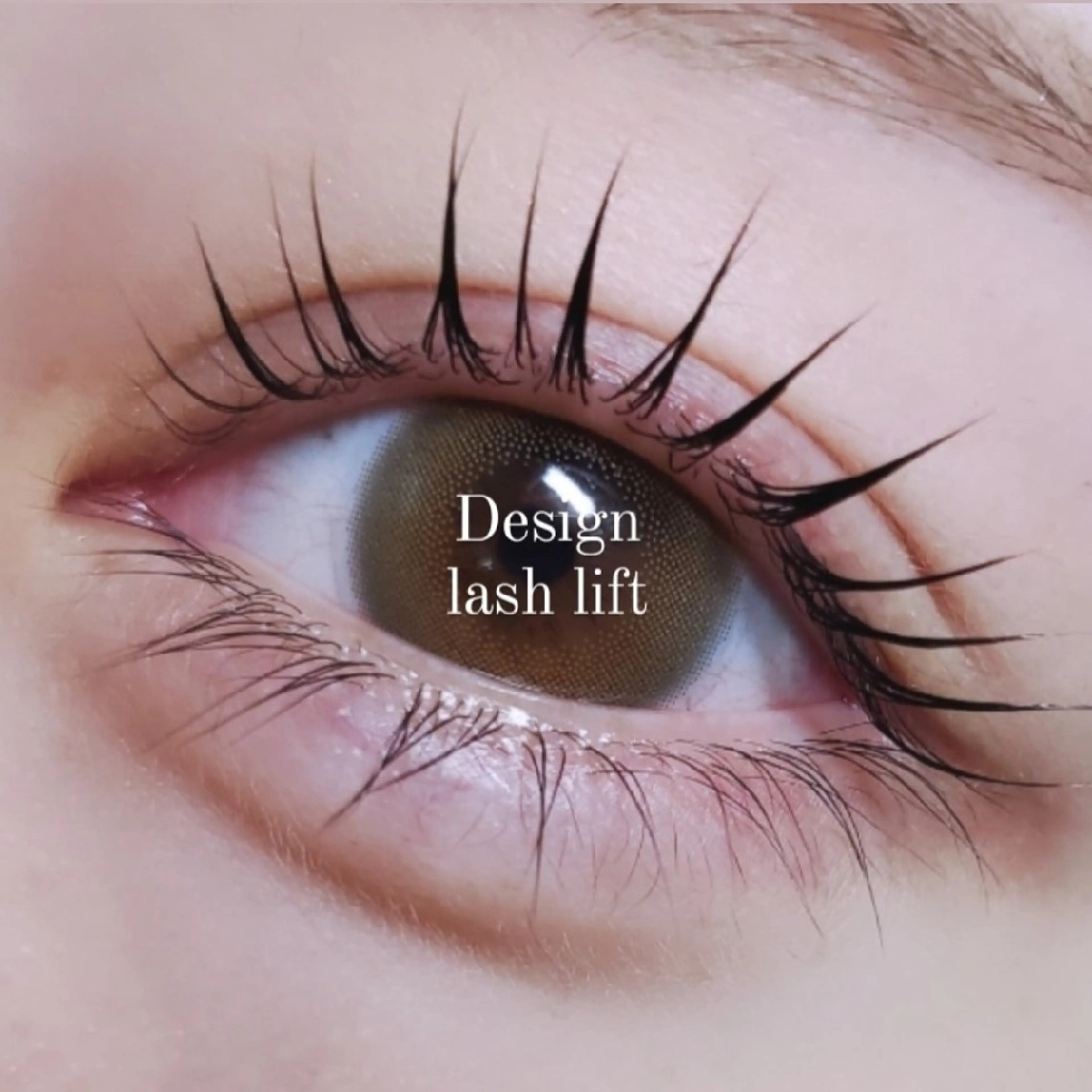 人気✨️【まつ毛パーマ】似合わせデザイン［メーテル等］★ｹﾗﾁﾝTR付き！束感コーティング仕上の写真