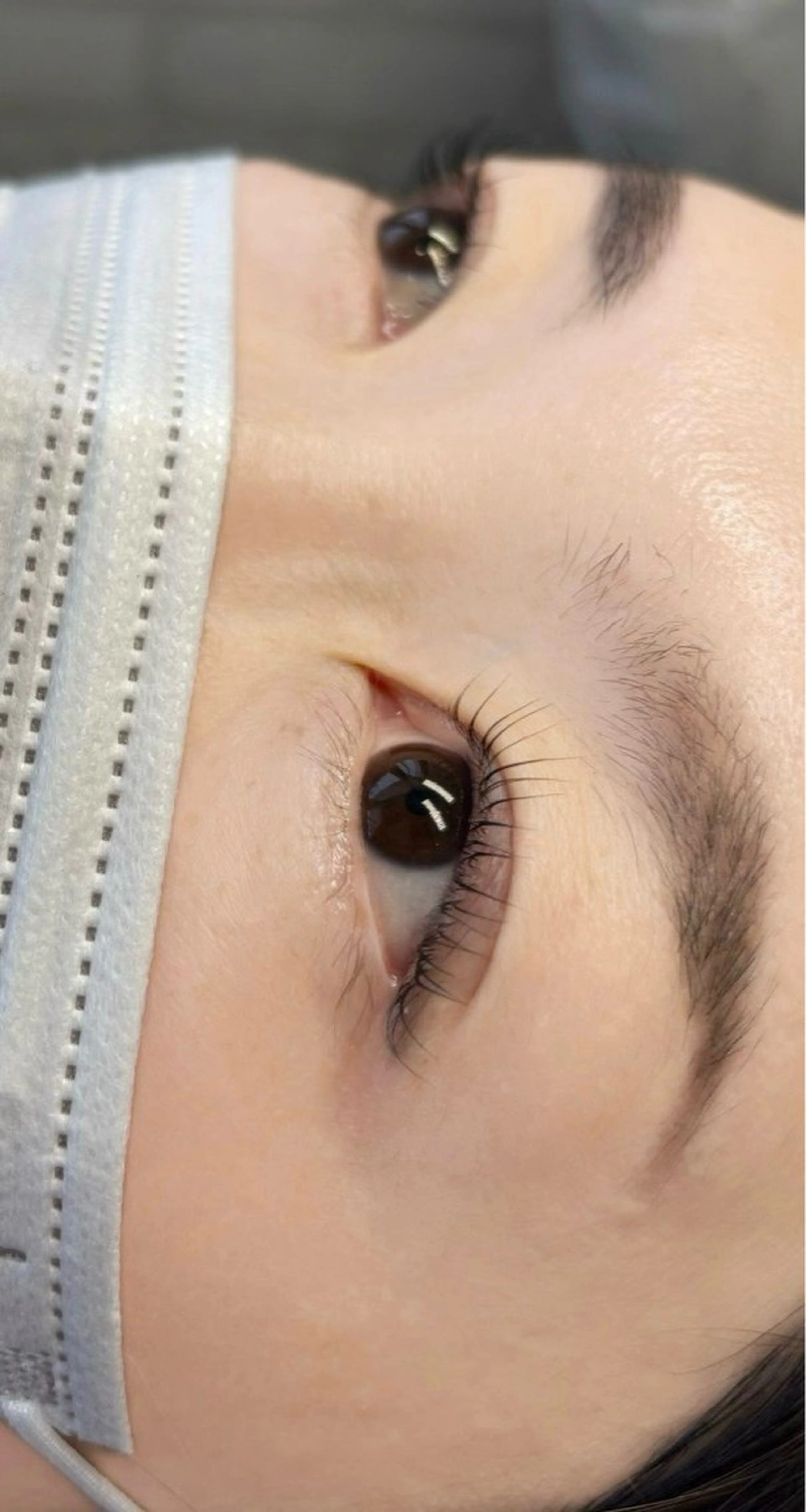 4月限定‼️新規様‼️ラッシュリフト（まつ毛パーマ）の写真