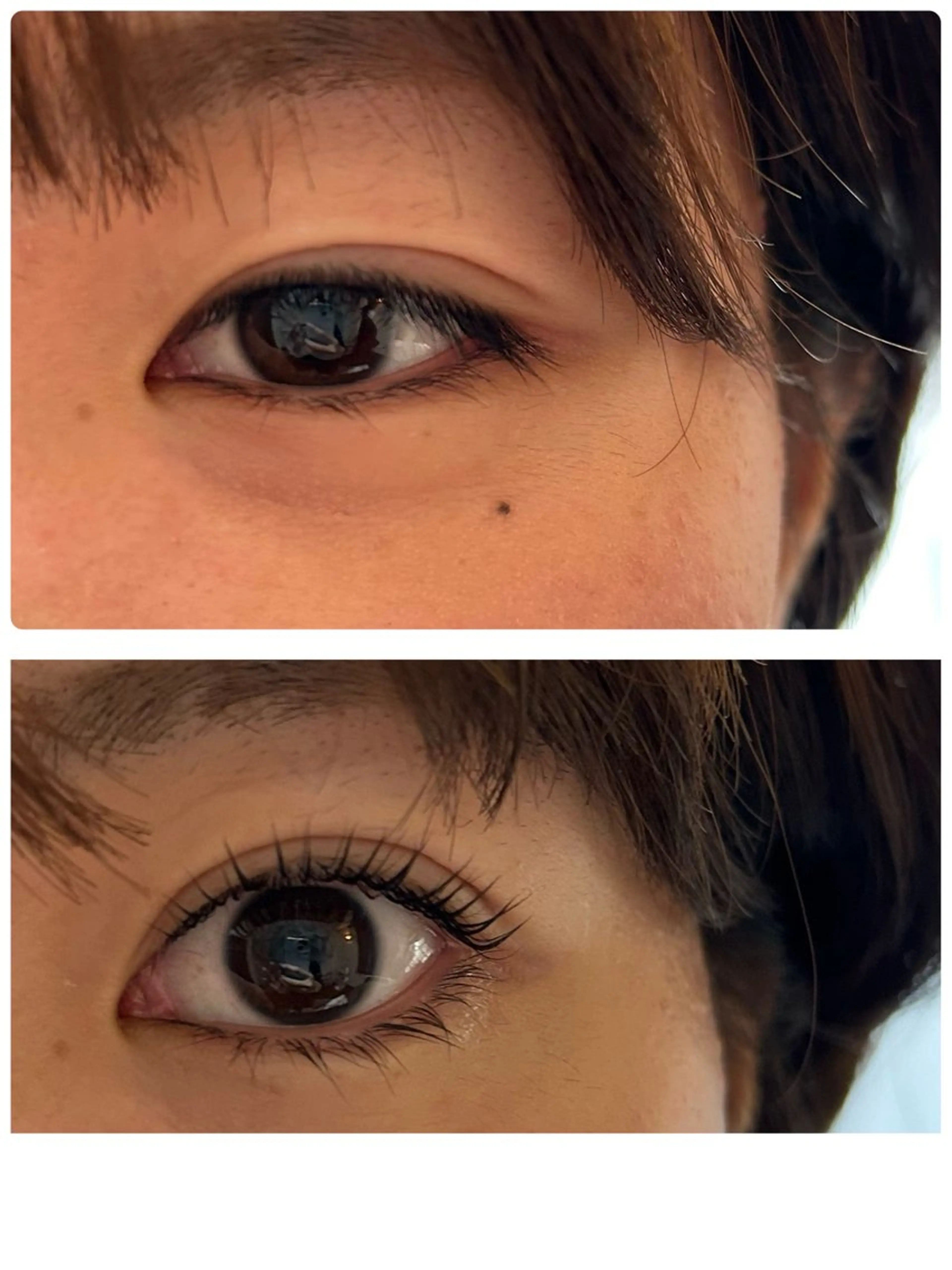 似合わせラッシュリフト/ヒト幹細胞トリートメント付♡の写真