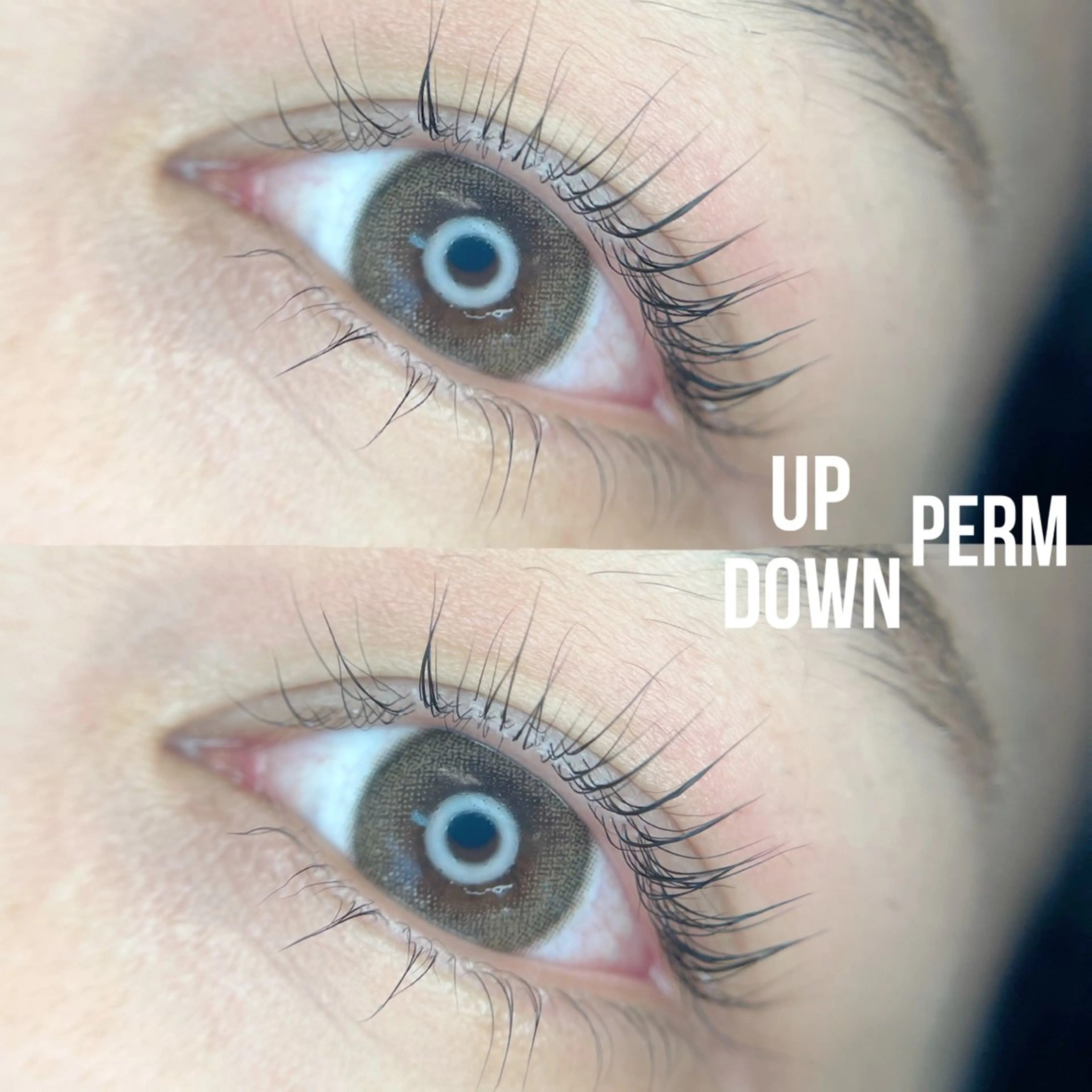 マツエク・マツパ マツパ olu 美甘 カレンの眉毛・アイブロウイメージ