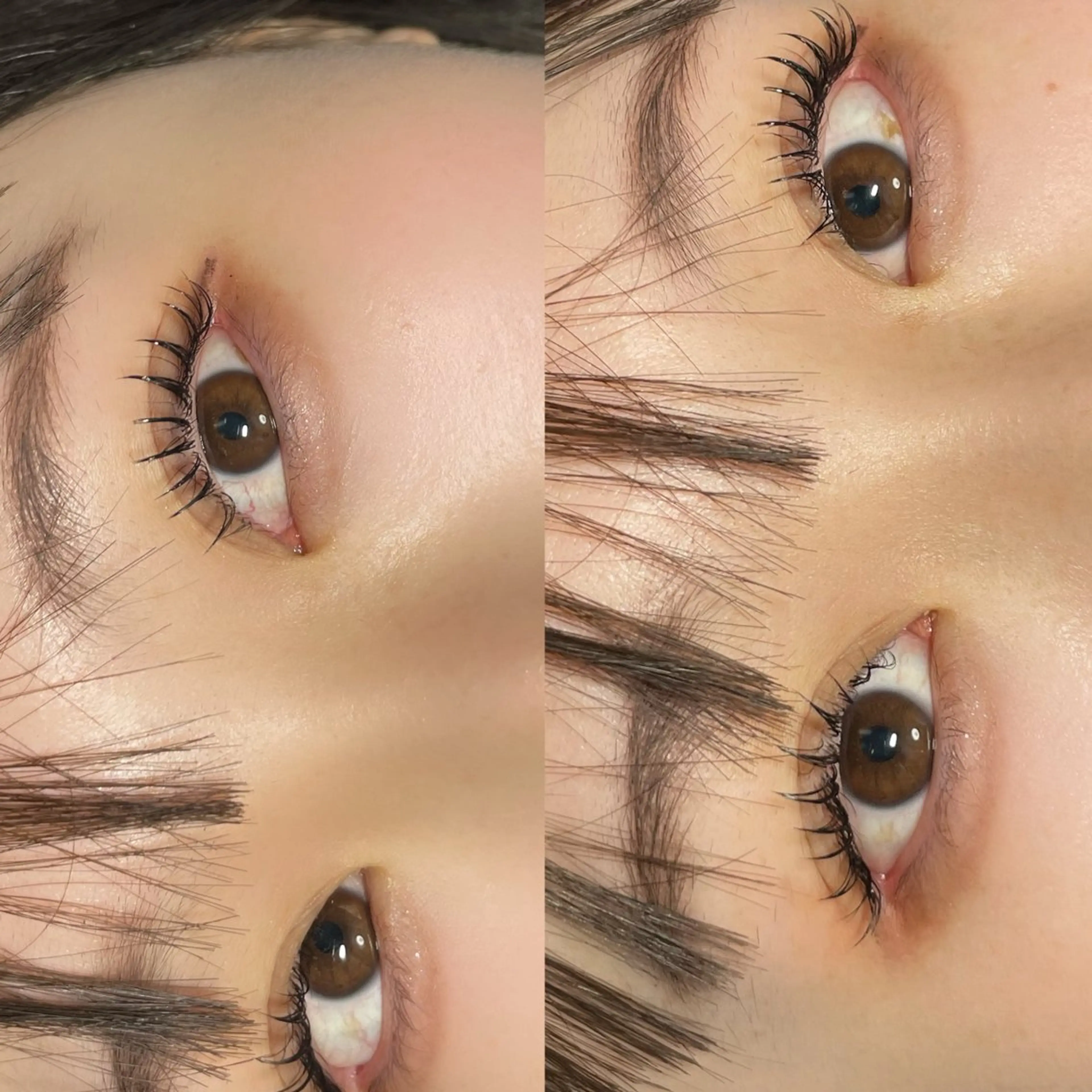 マツエク・マツパ eclipse eyelashのマツエク・マツパデザイン