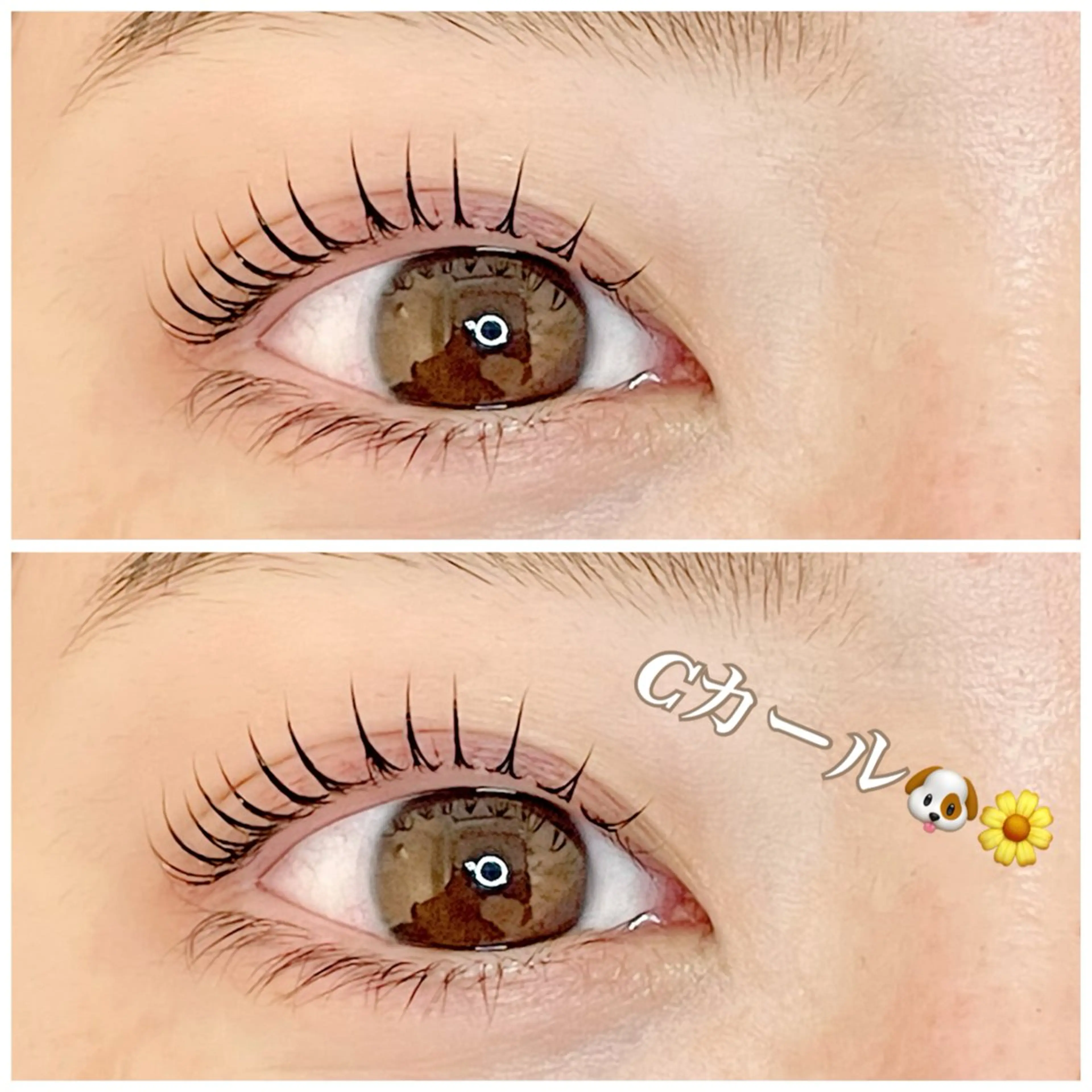 マツエク・マツパ ちだ りさこ🌼𓈒𓏸のマツエク・マツパデザイン