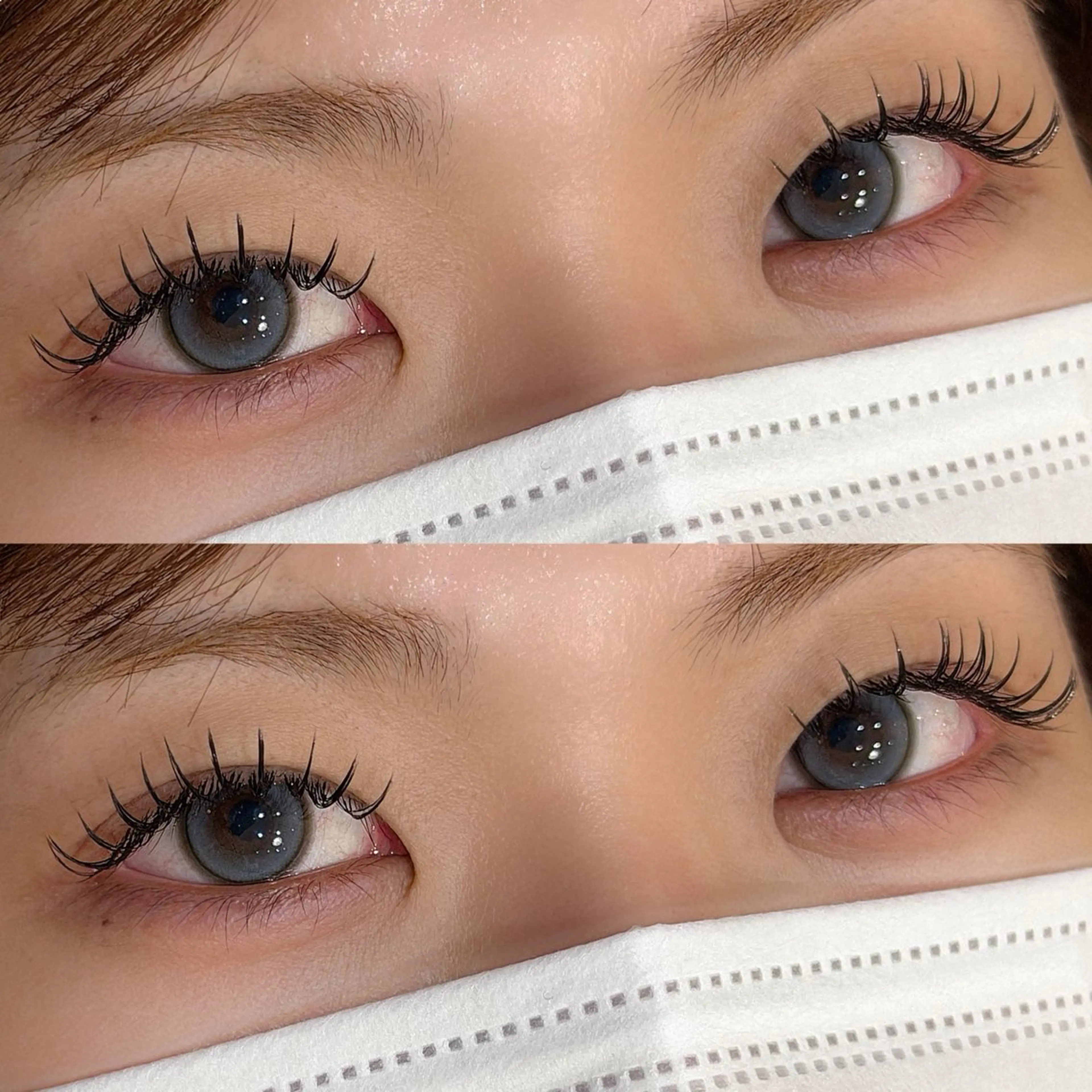 フラットマットラッシュ140本の写真