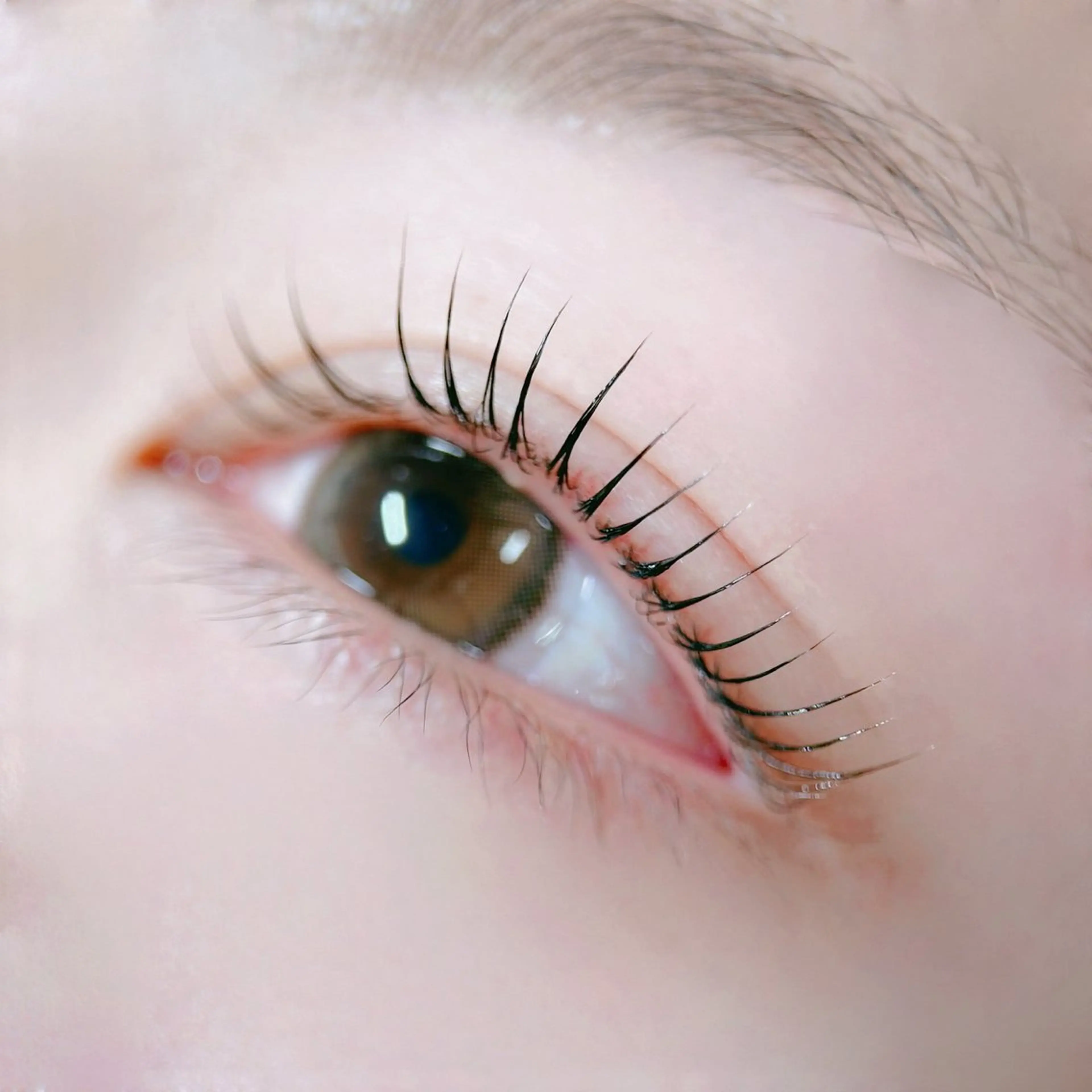 【最終受付限定¥0✨】🫧まつ毛パーマorパリジェンヌ🫧の写真