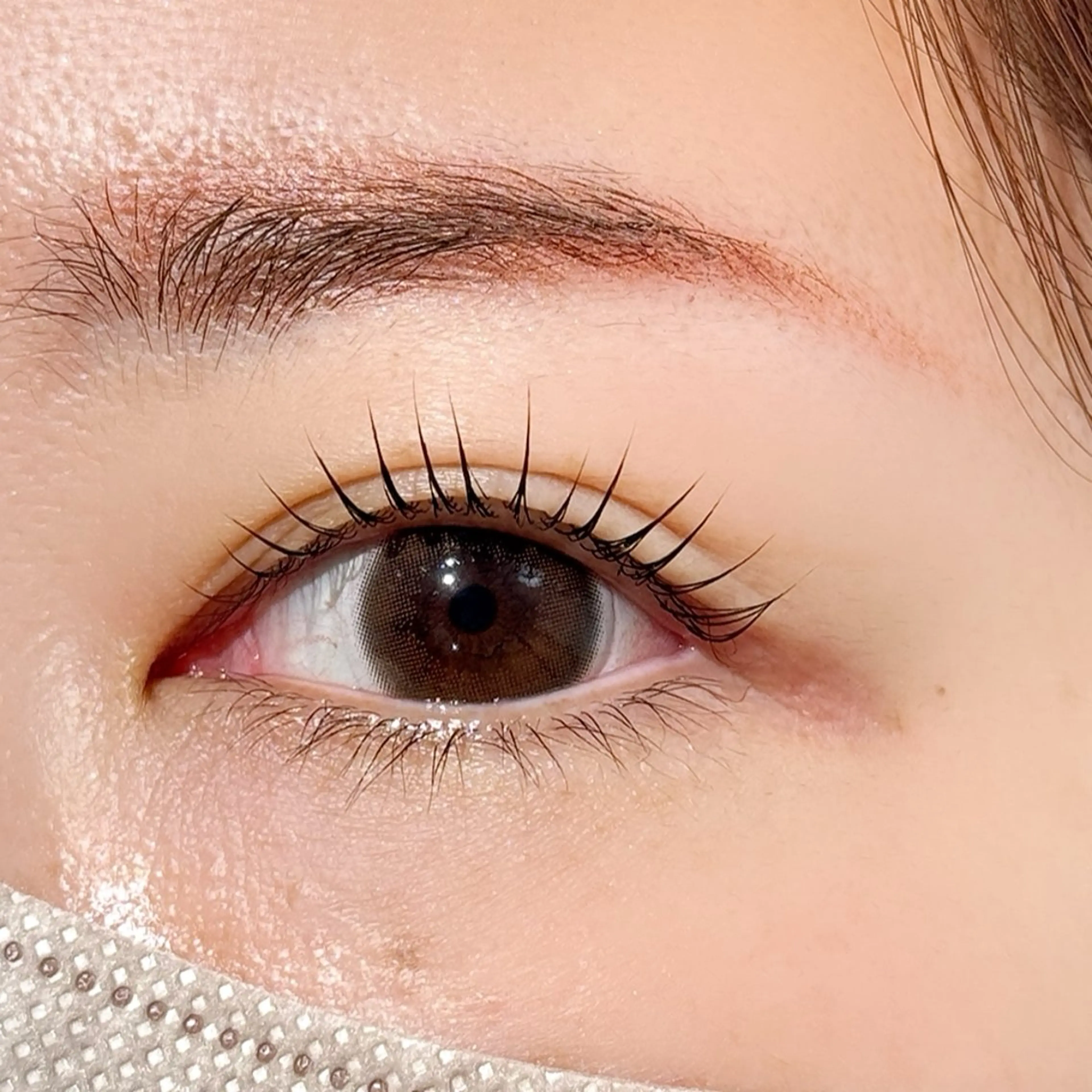 🪞ラッシュリフト✕アイブロウwax🪞¥5660の写真