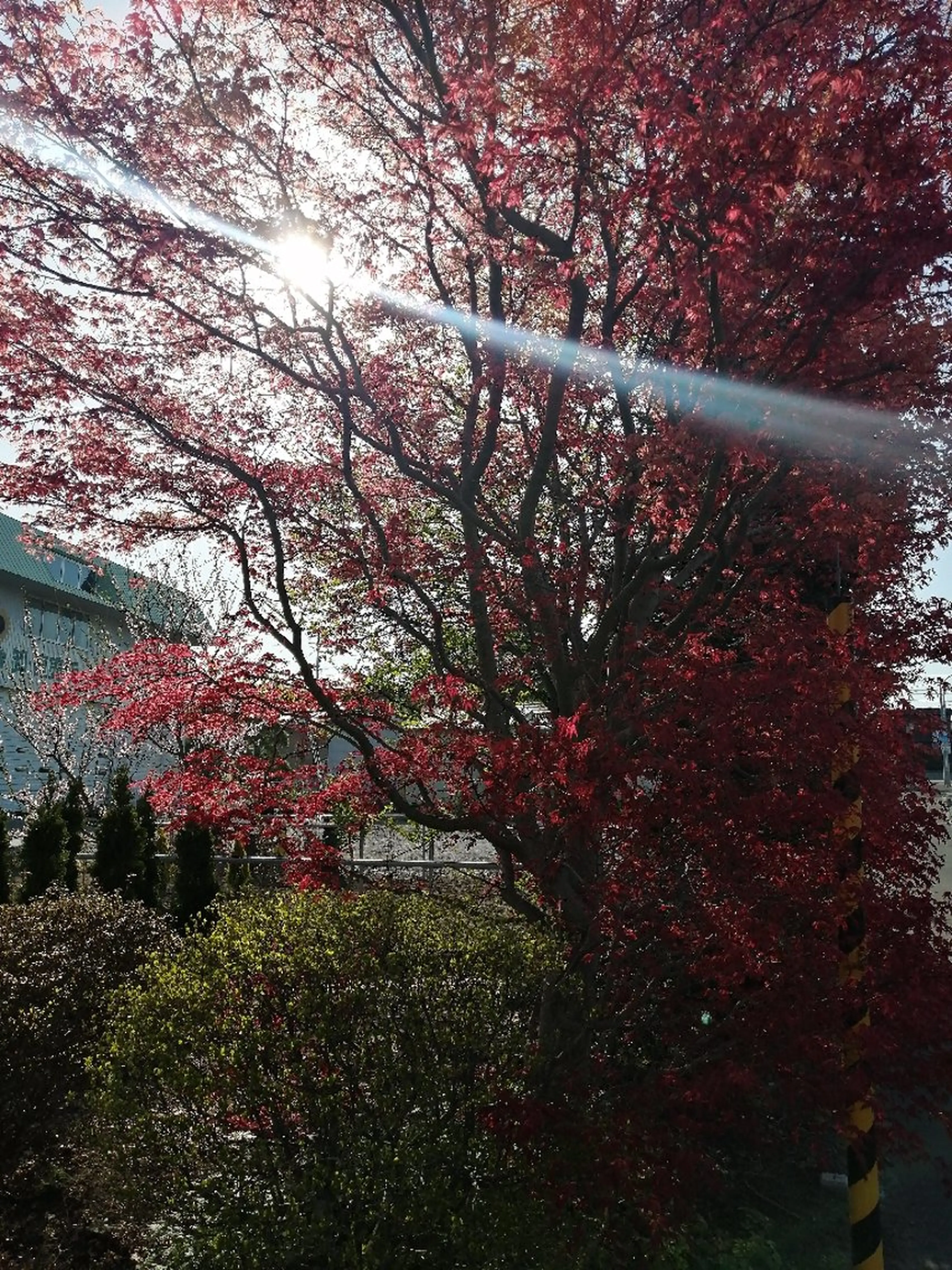 D/i所属・D/i |Y/no. 〈夜スパ17時〜〉のヘアスタイル