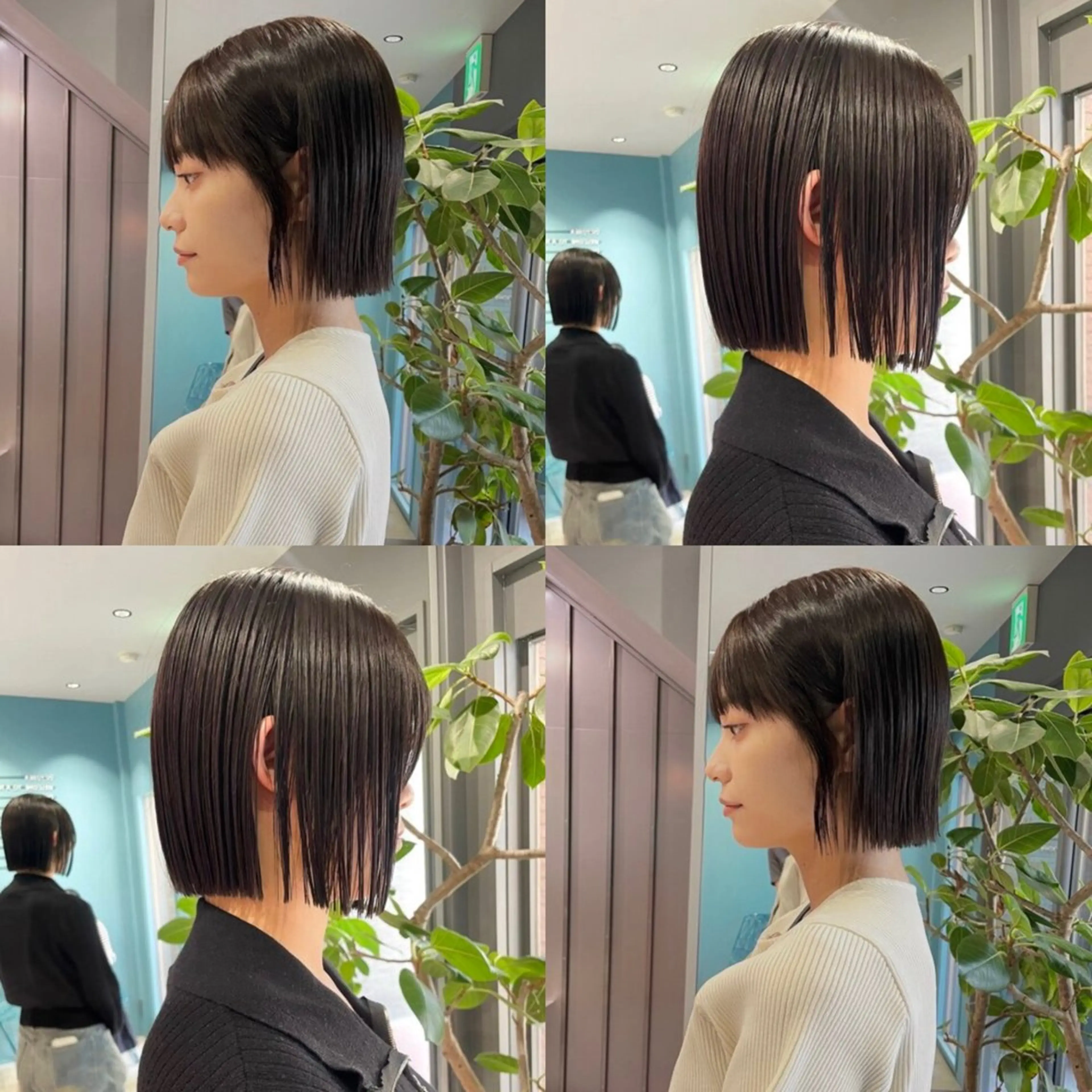 カット ヘアカラー トリートメント 🐈‍⬛JUMI /透明感カラー/🩶のヘアスタイル